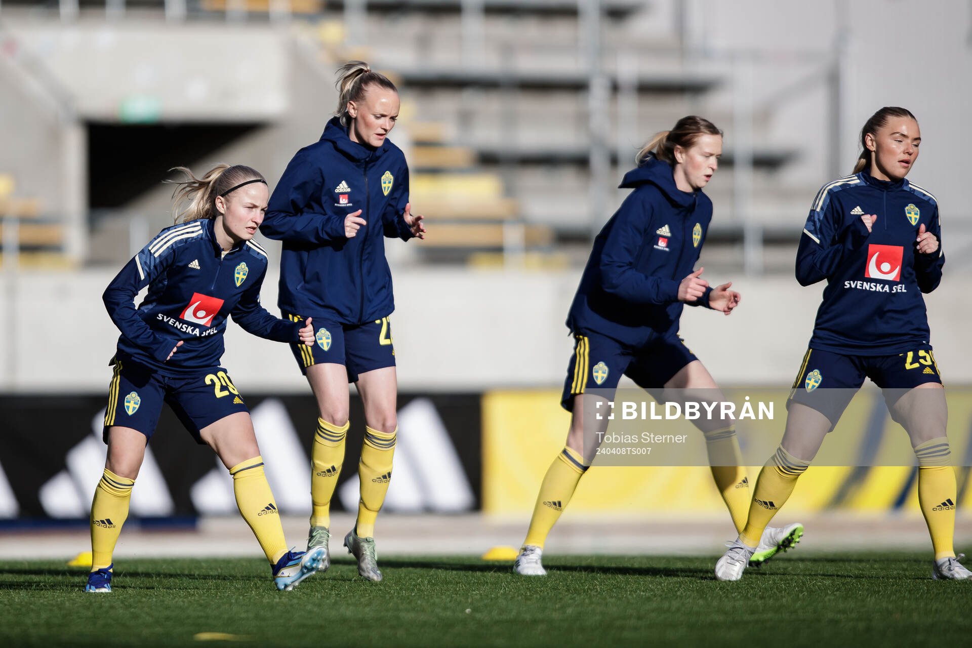 Players of Sweden