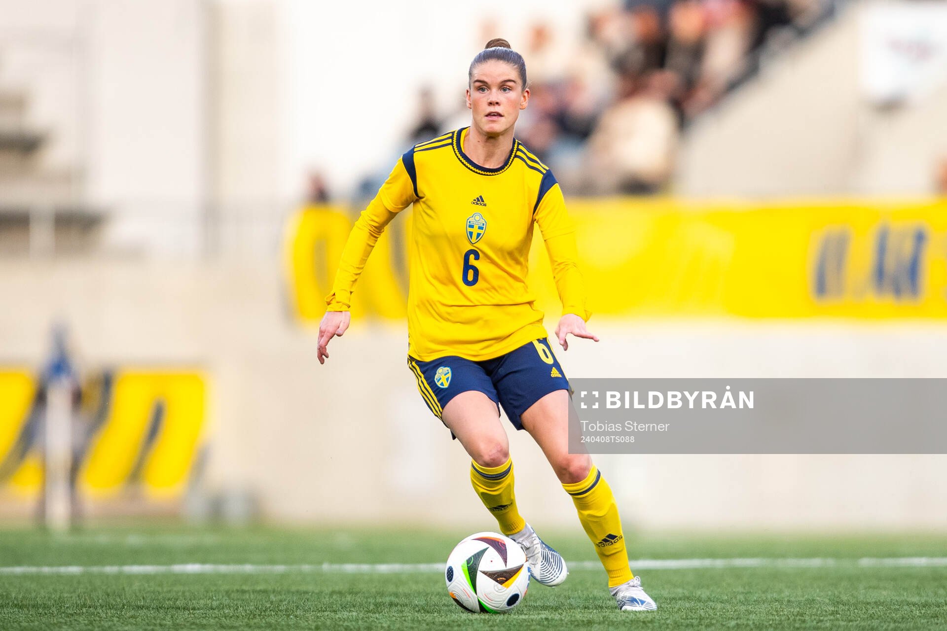 My Cato of Sweden