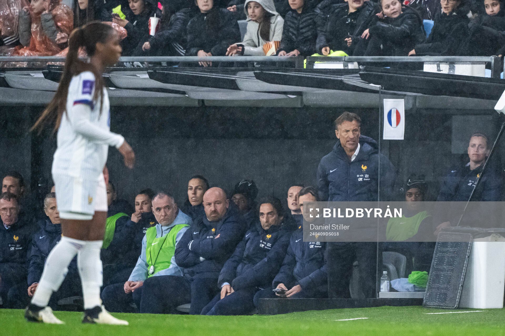 Head coach Hervé Renard of France