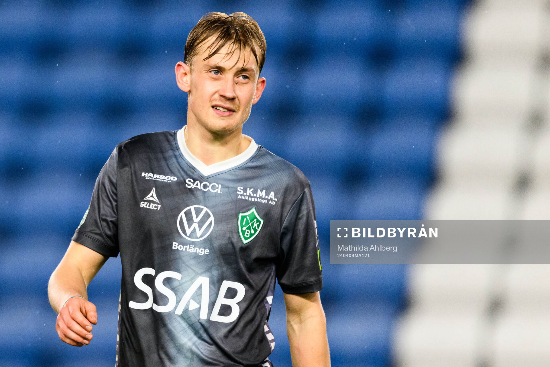 Brages Henry Sletsjøe