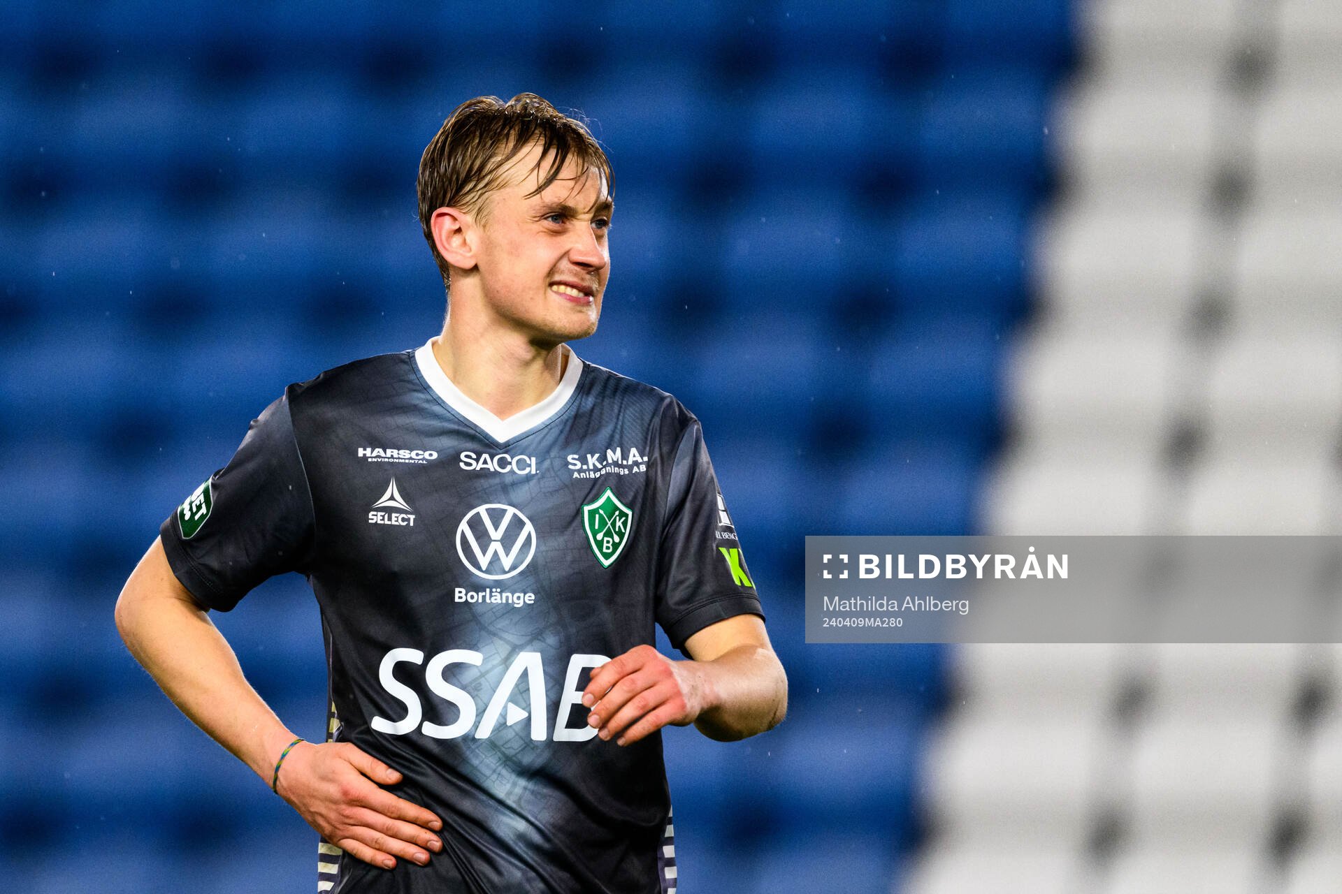 Brages Henry Sletsjøe