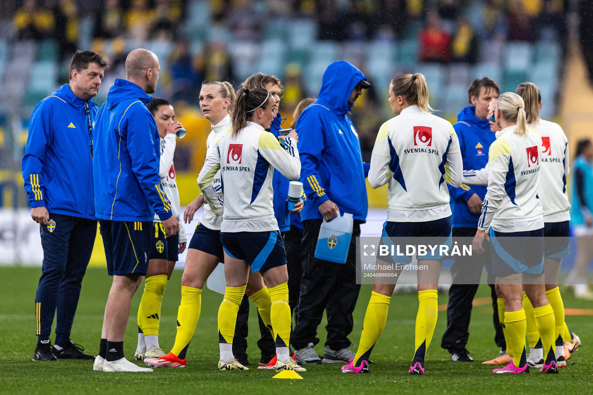 Players of Sweden