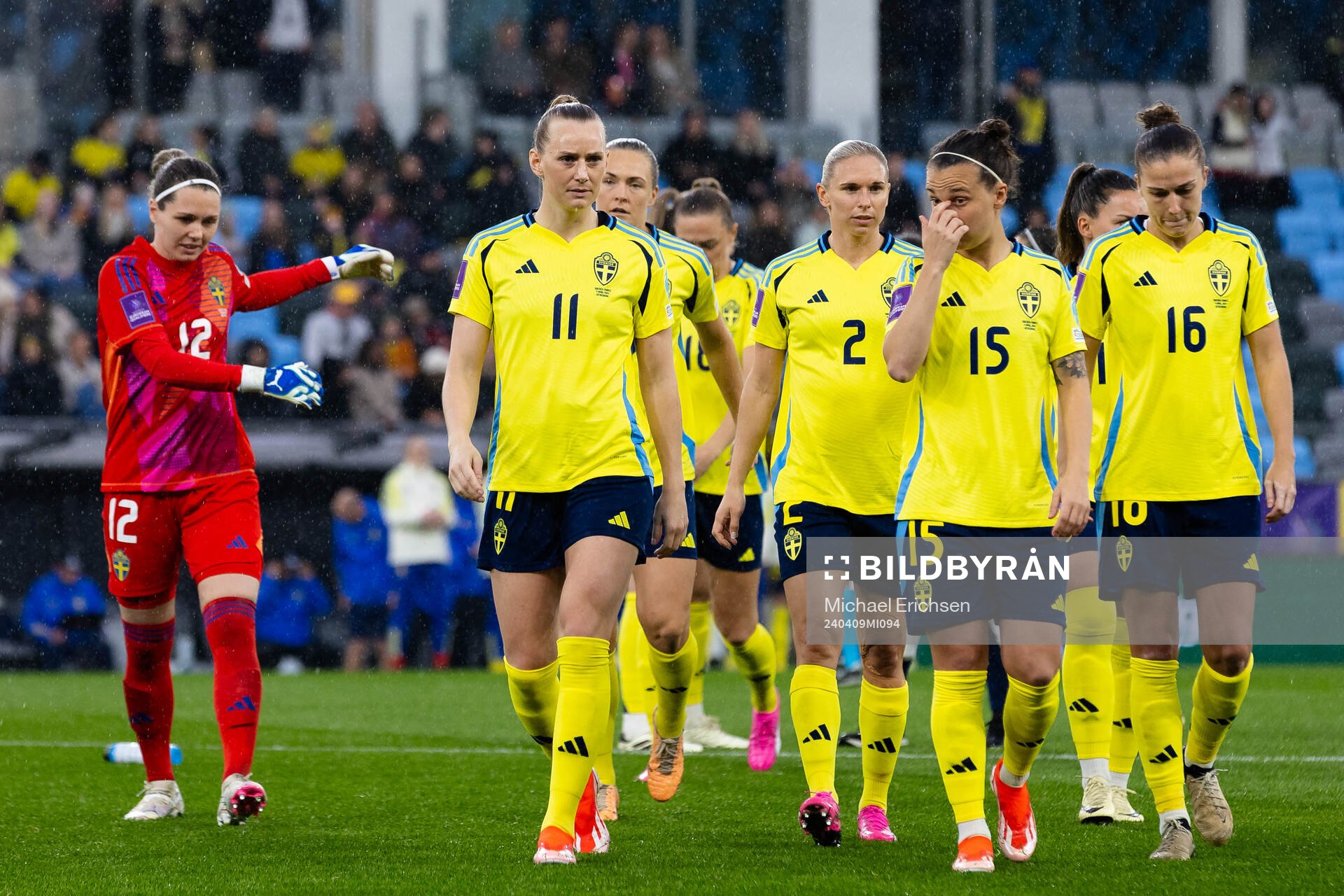 Players of Sweden