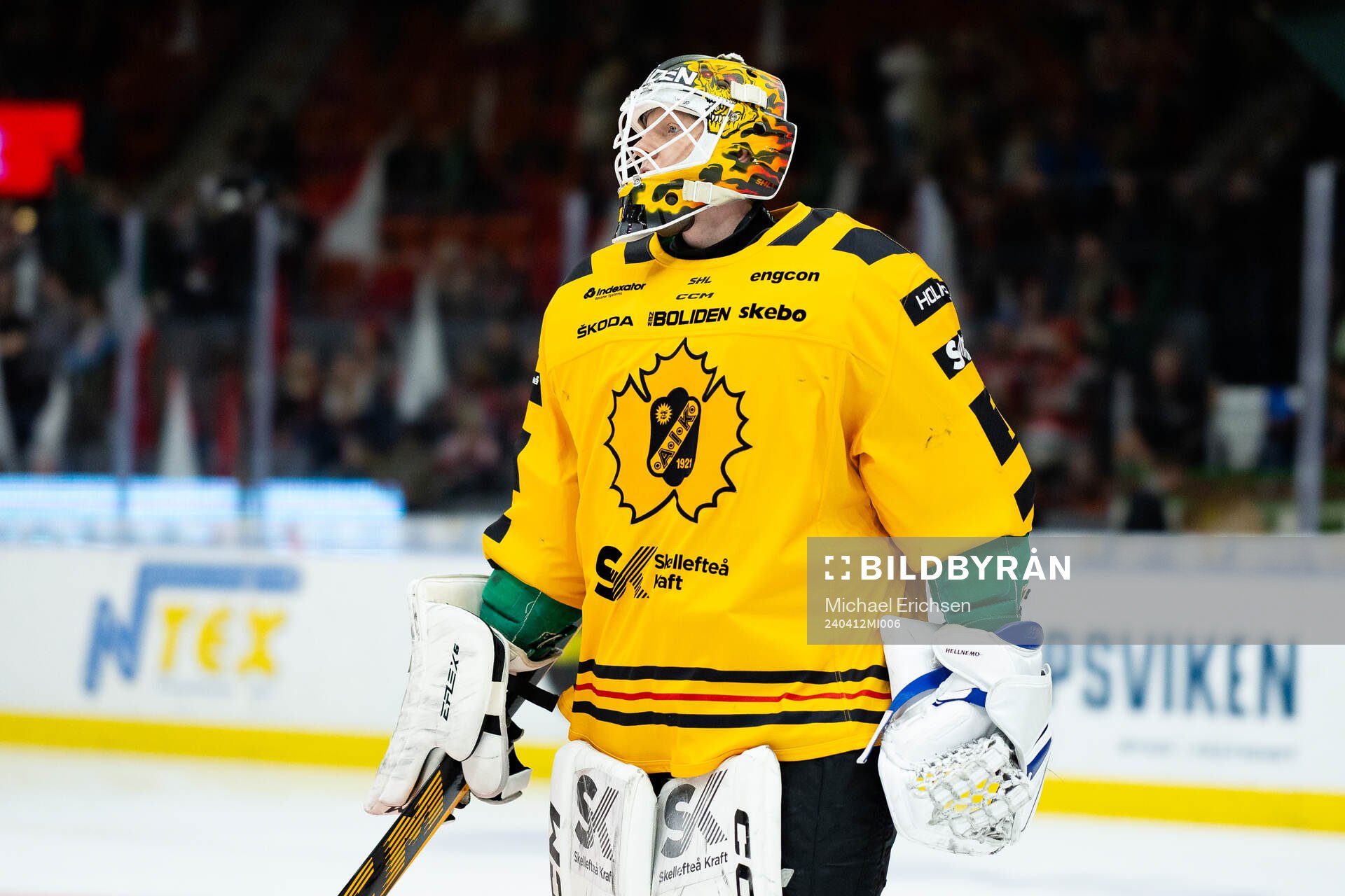 Skellefteås målvakt Alexander Hellnemo innan semifinal
