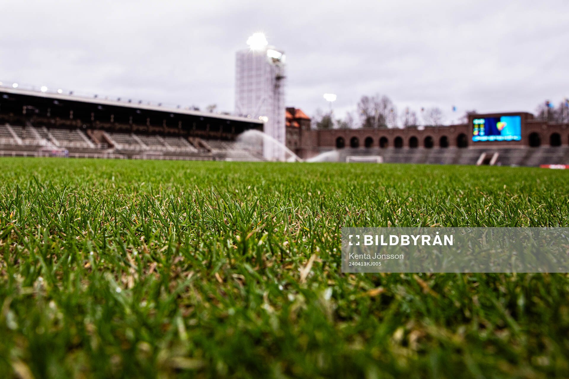 Naturgräs på Stockholms Stadion