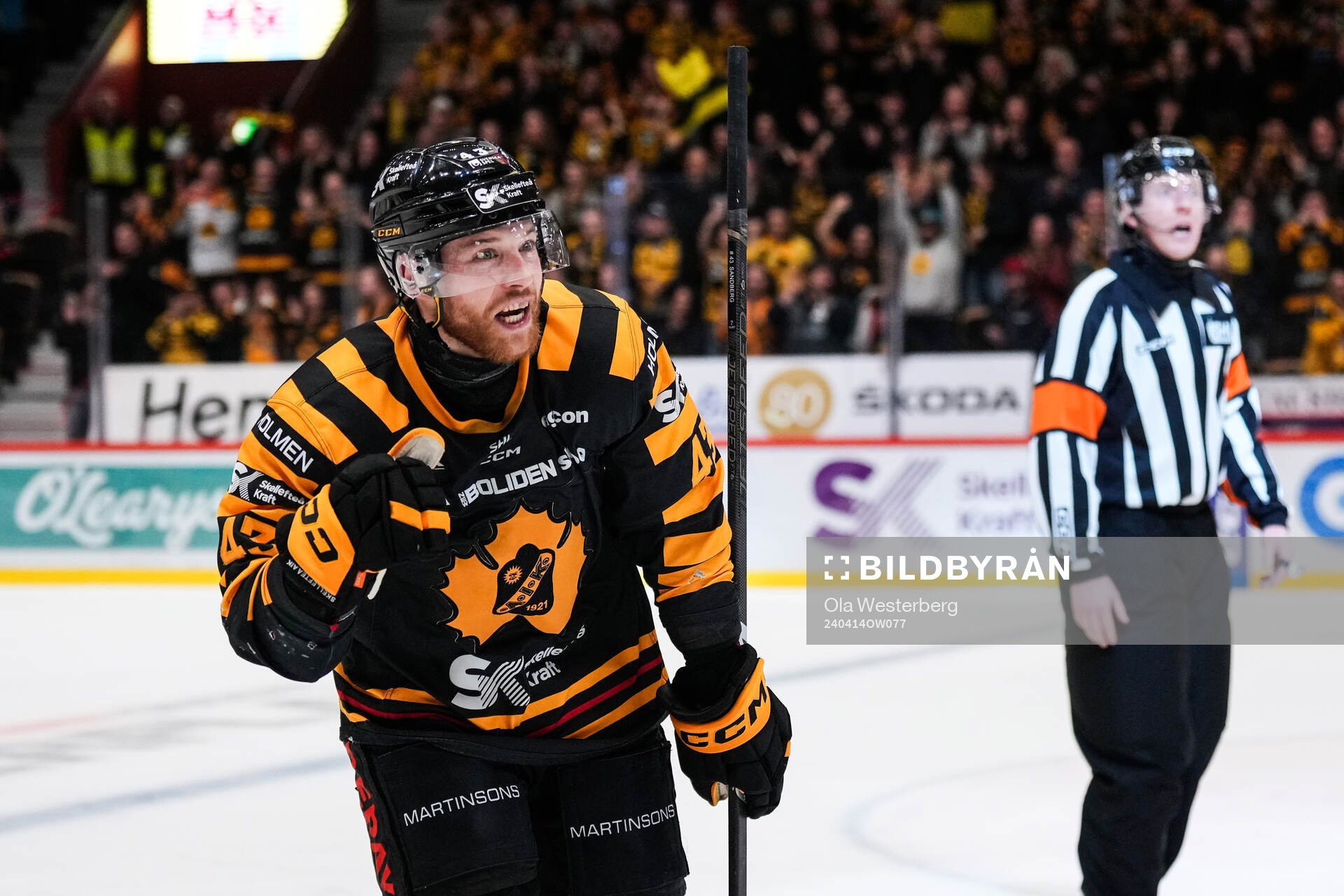 Skellefteås Filip Sandberg jublar