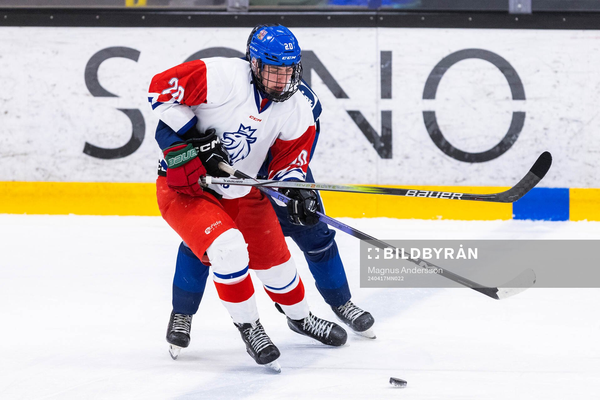 Dominik Pavlik of Czech republic