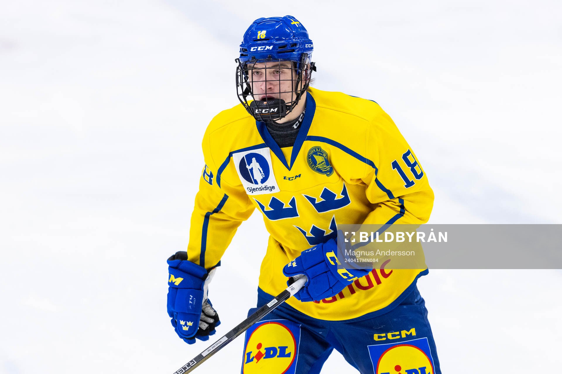 Arvid Drott of Sweden