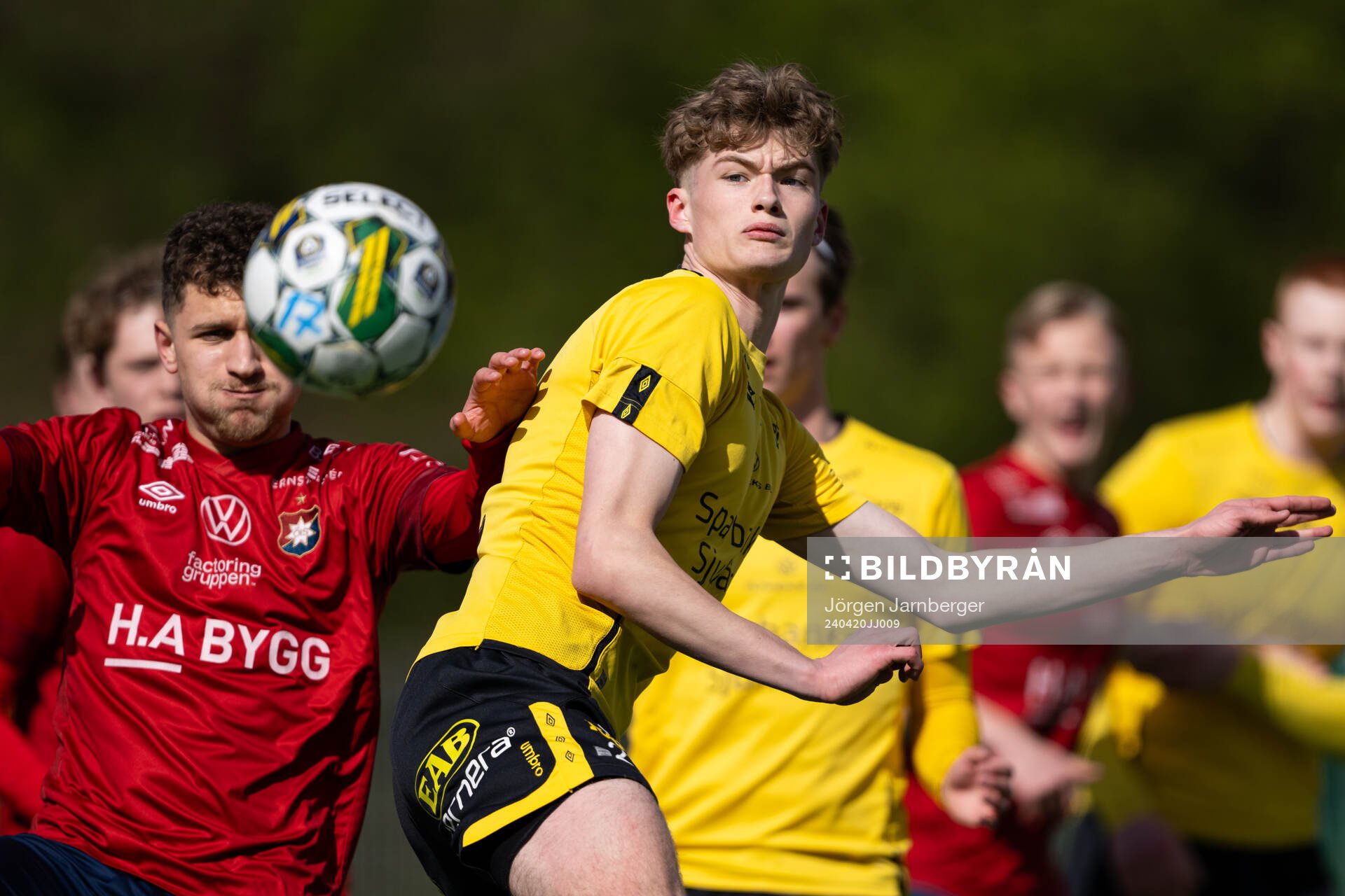 Elfsborgs Oliver Molander Adevåg