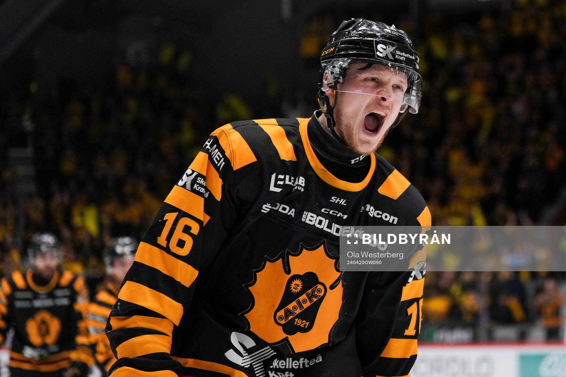 Skellefteås Linus Lindström jublar