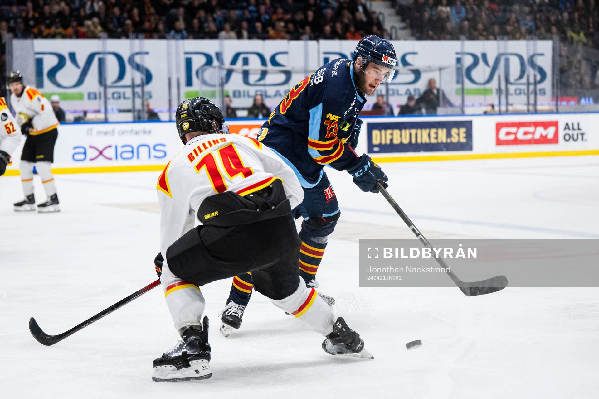 Djurgårdens Anton Gradin