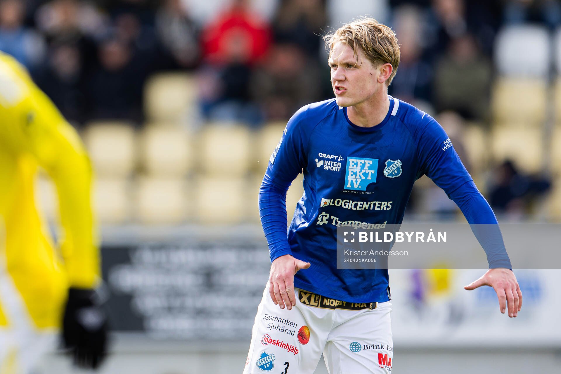 Norrbys Teodor Wålemark