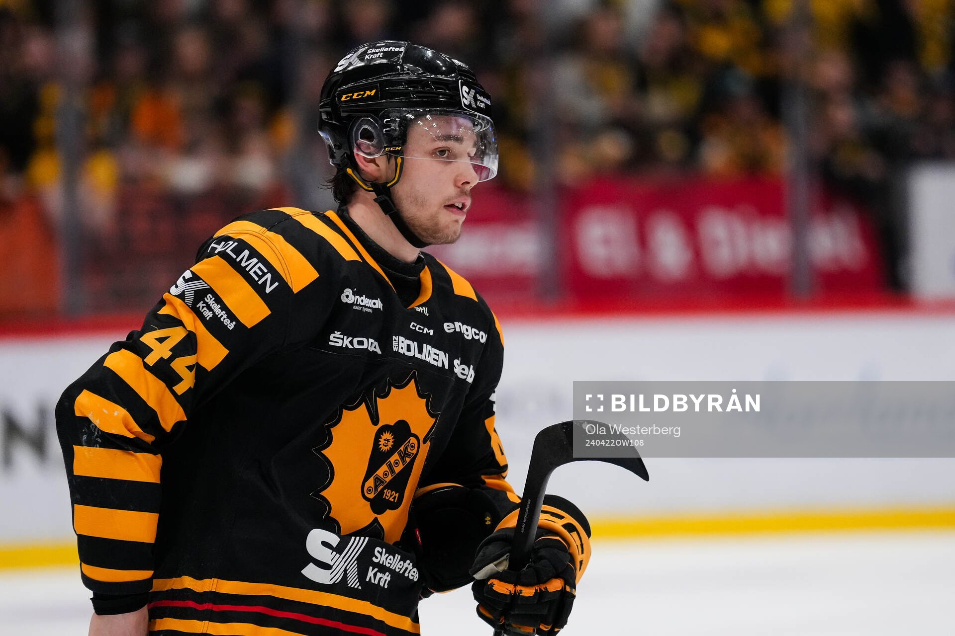 Skellefteås Elias Salomonsson