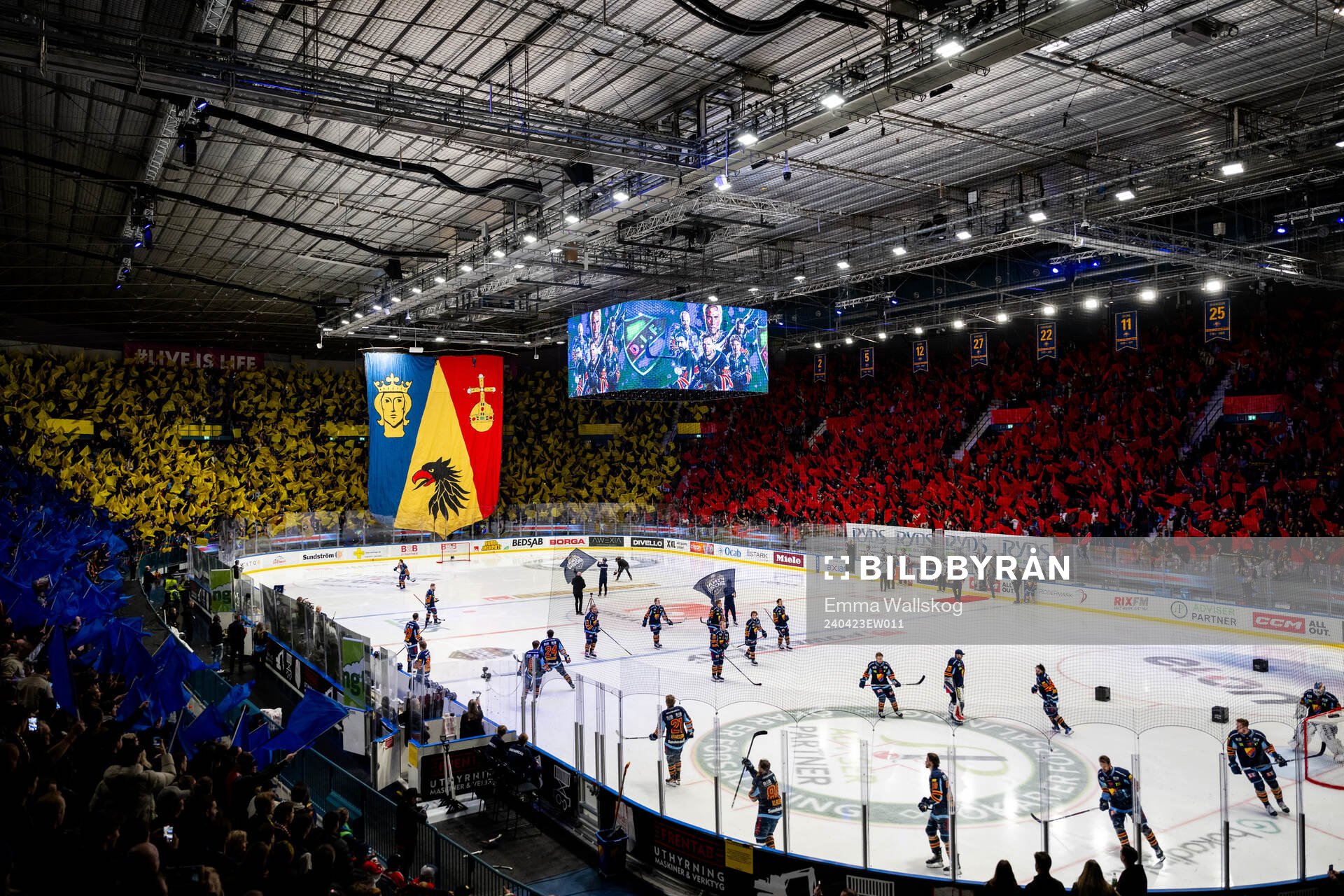 Djurgårdens supportar med tifo
