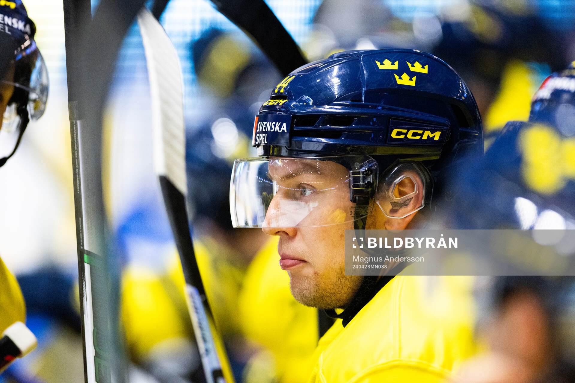 during the international friendly ice hockey game between