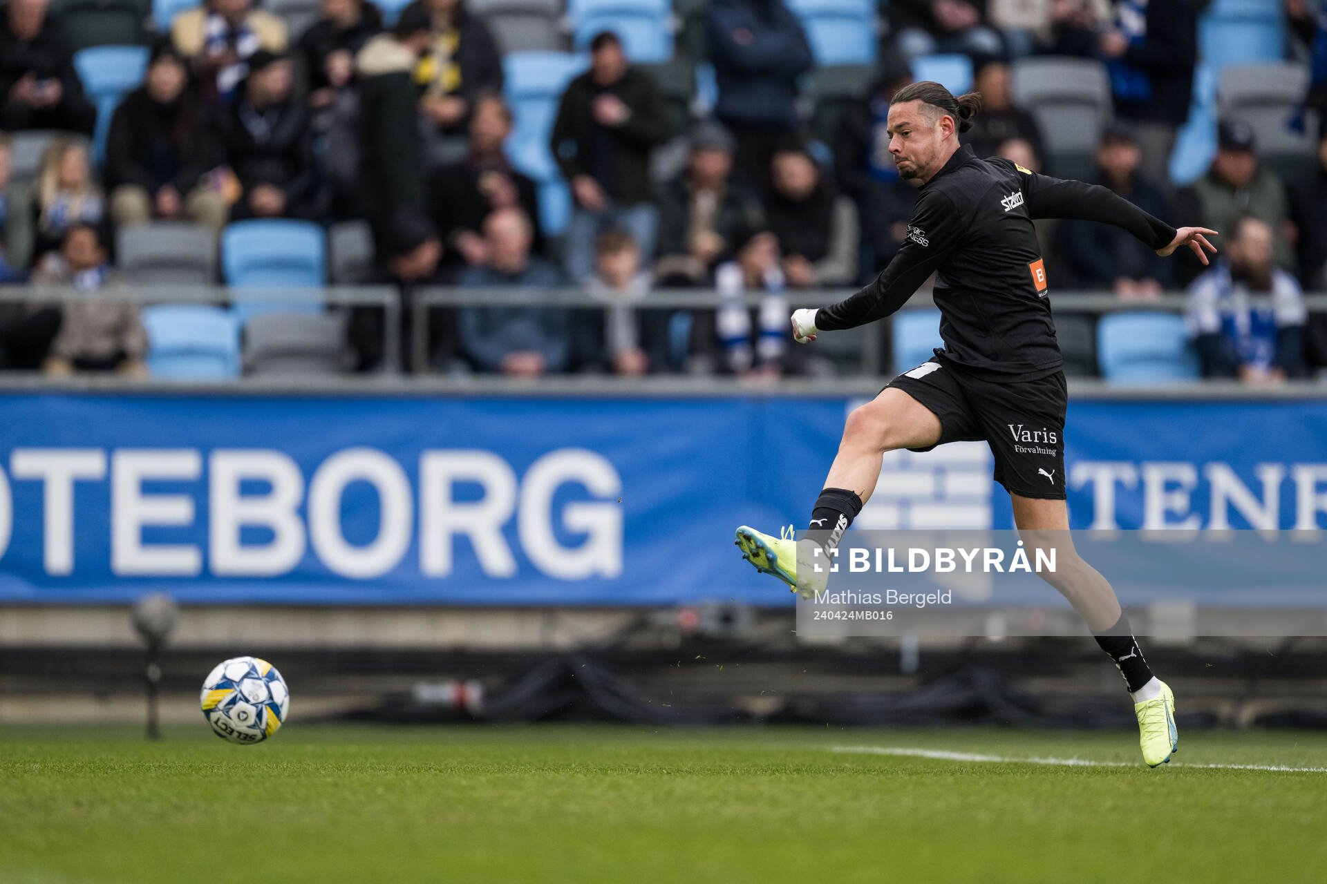 Häckens Amor Layouni