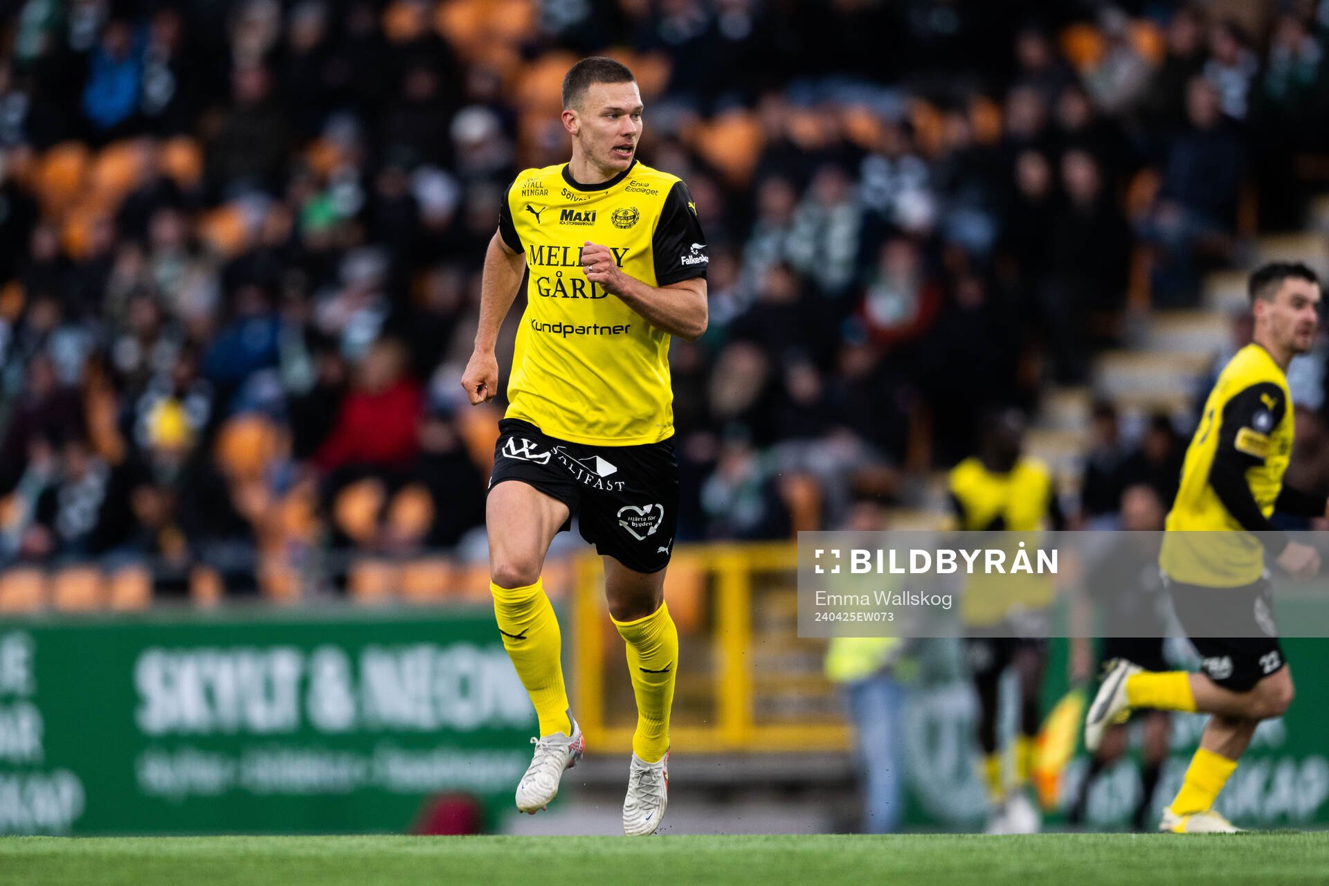 Mjällbys Arvid Brorsson