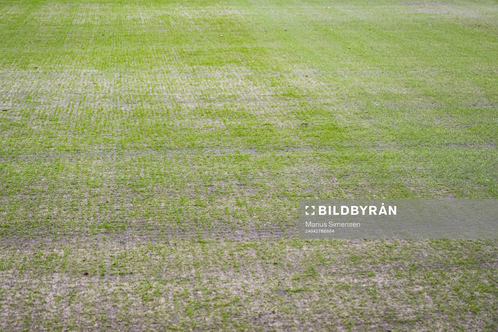 Quality of the grass at Lerkendal Stadion