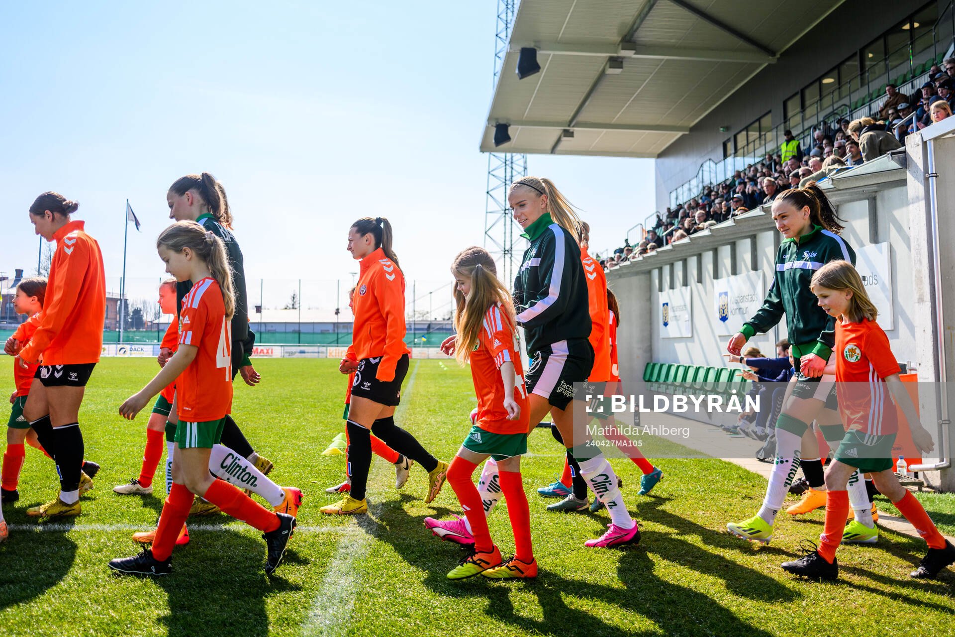Hammarbys spelare