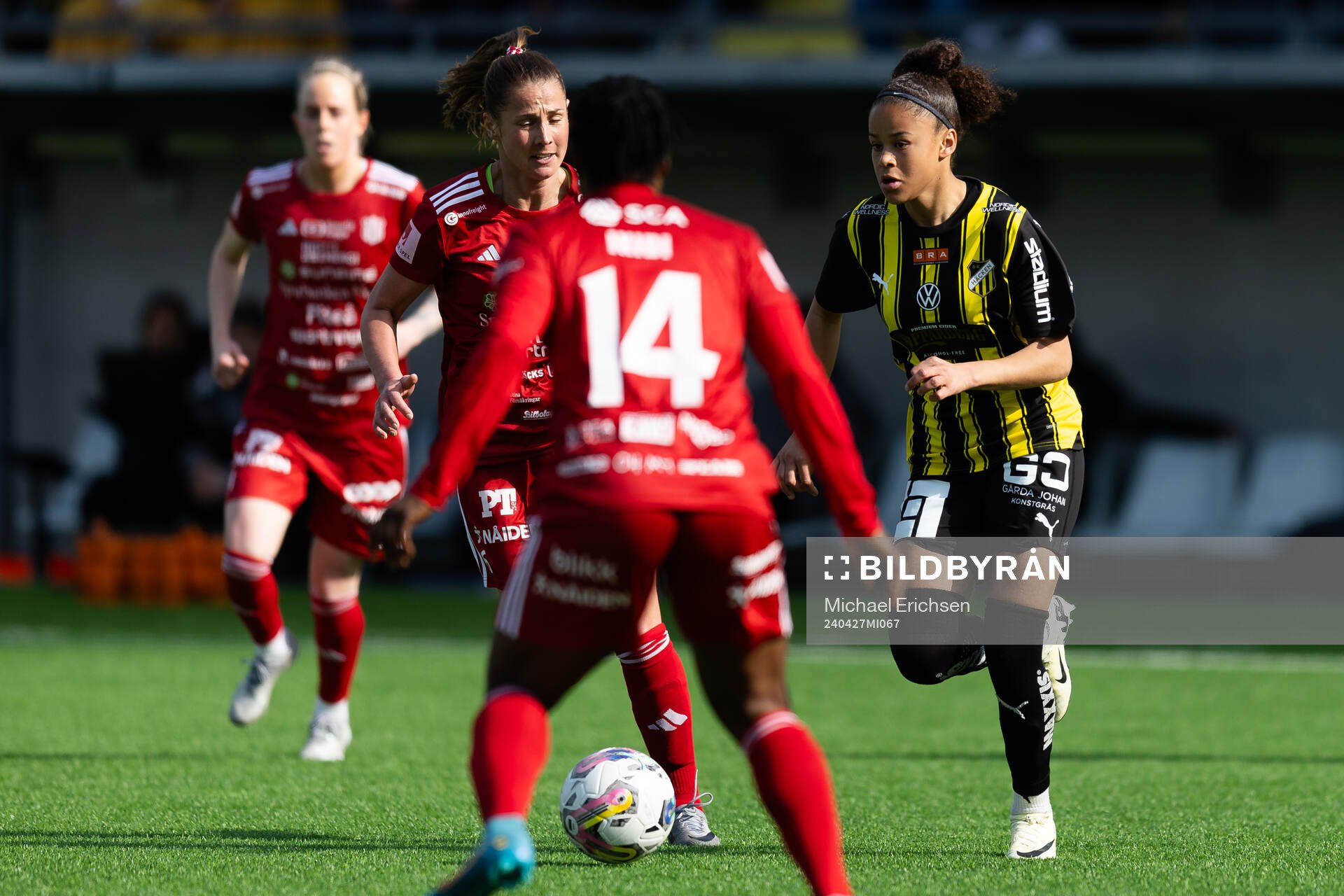 Häckens Felicia Schröder