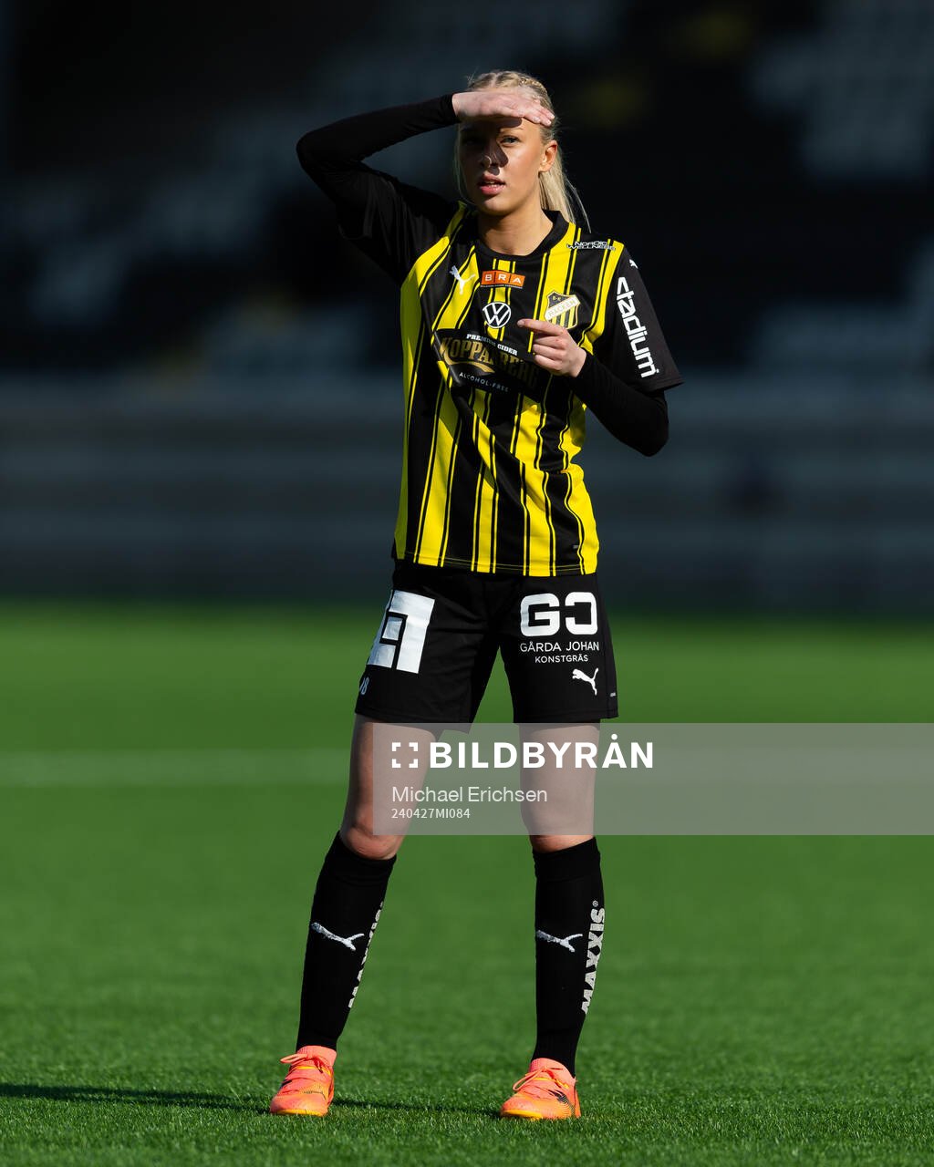 Häckens Lisa Löwing