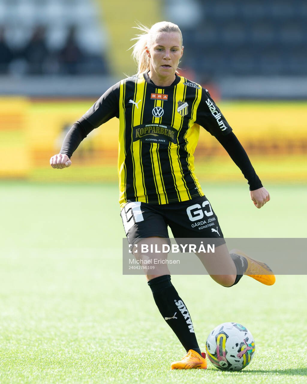 Häckens Josefine Rybrink