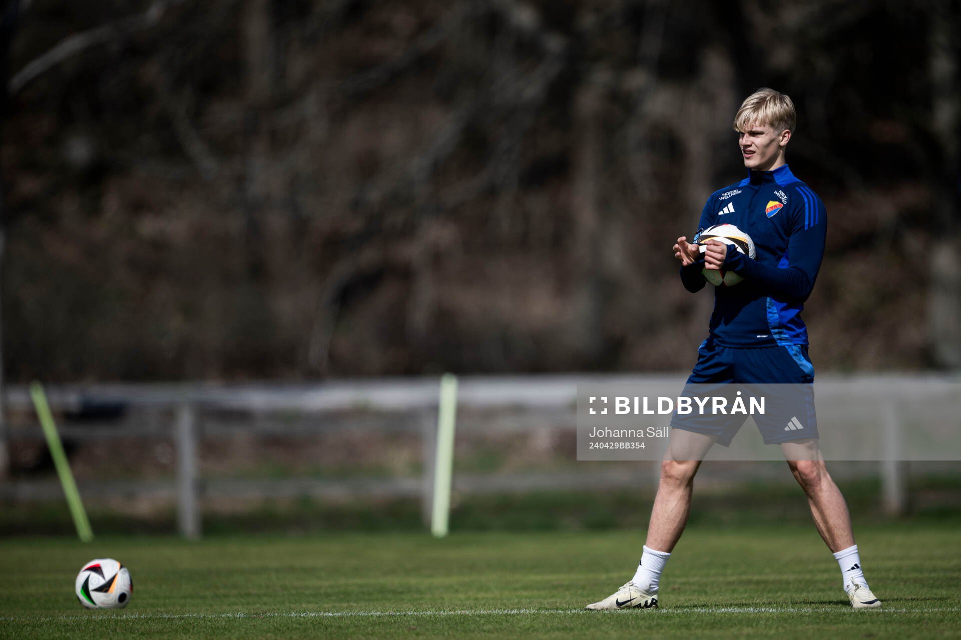 Lucas Bergvall