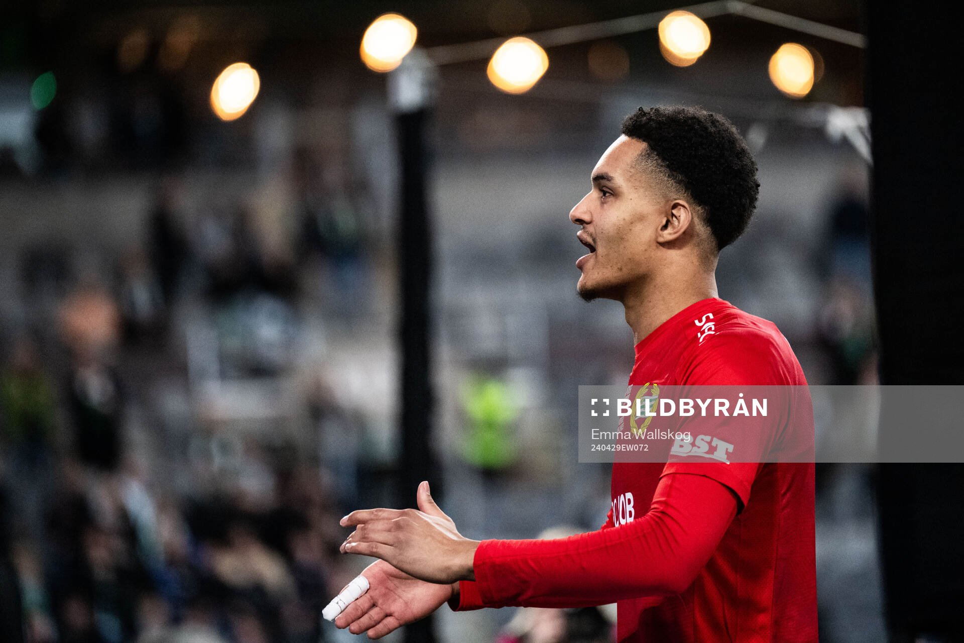 Hammarbys målvakt Oliver Dovin jublar