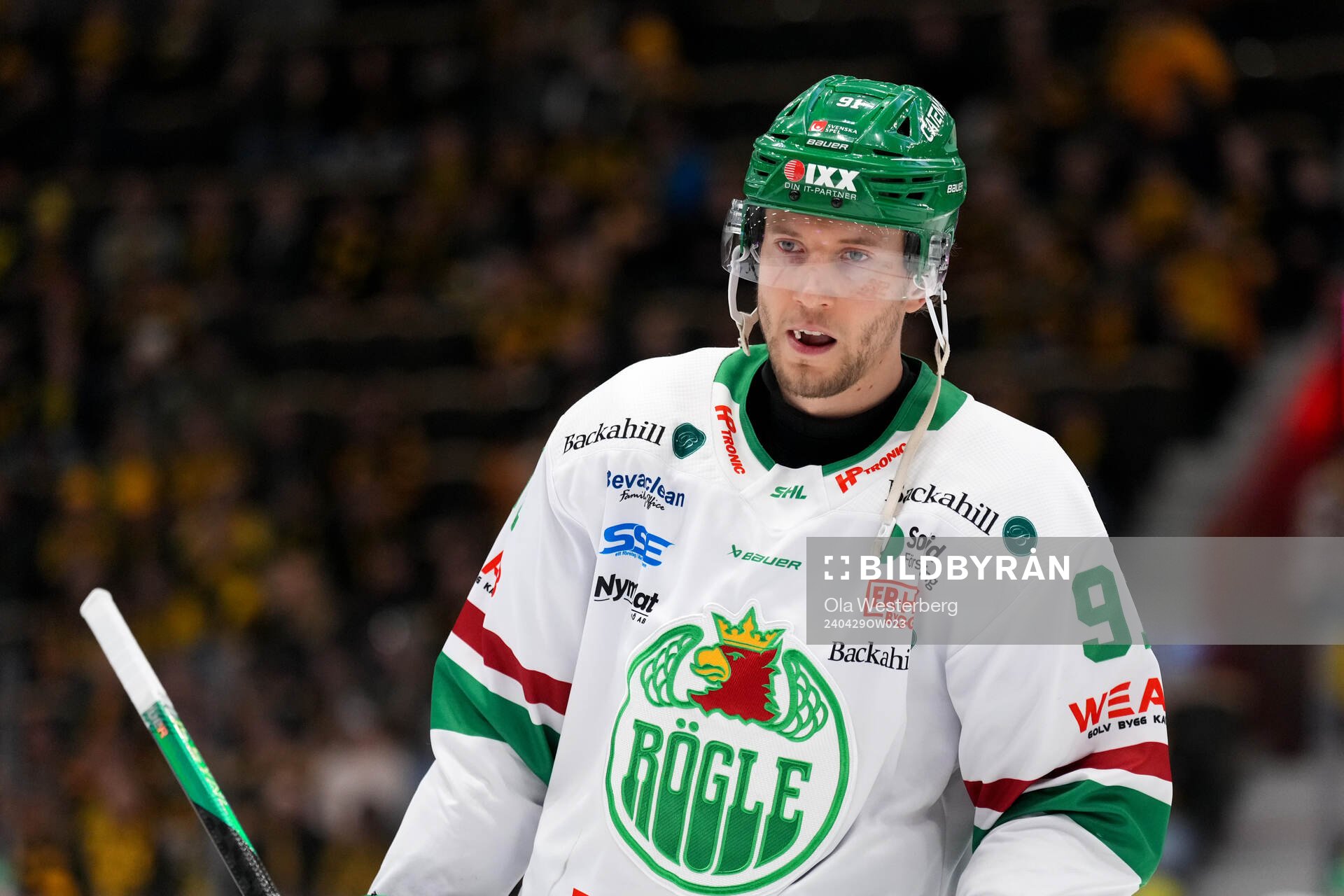 Rögles Adam Tambellini