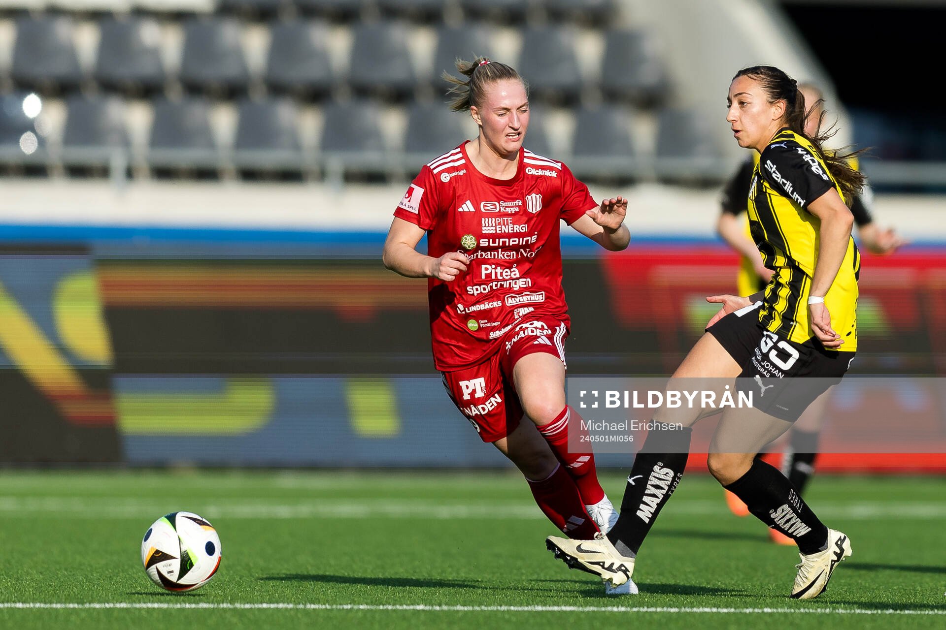 Häckens Rusul Rosa Kafaji