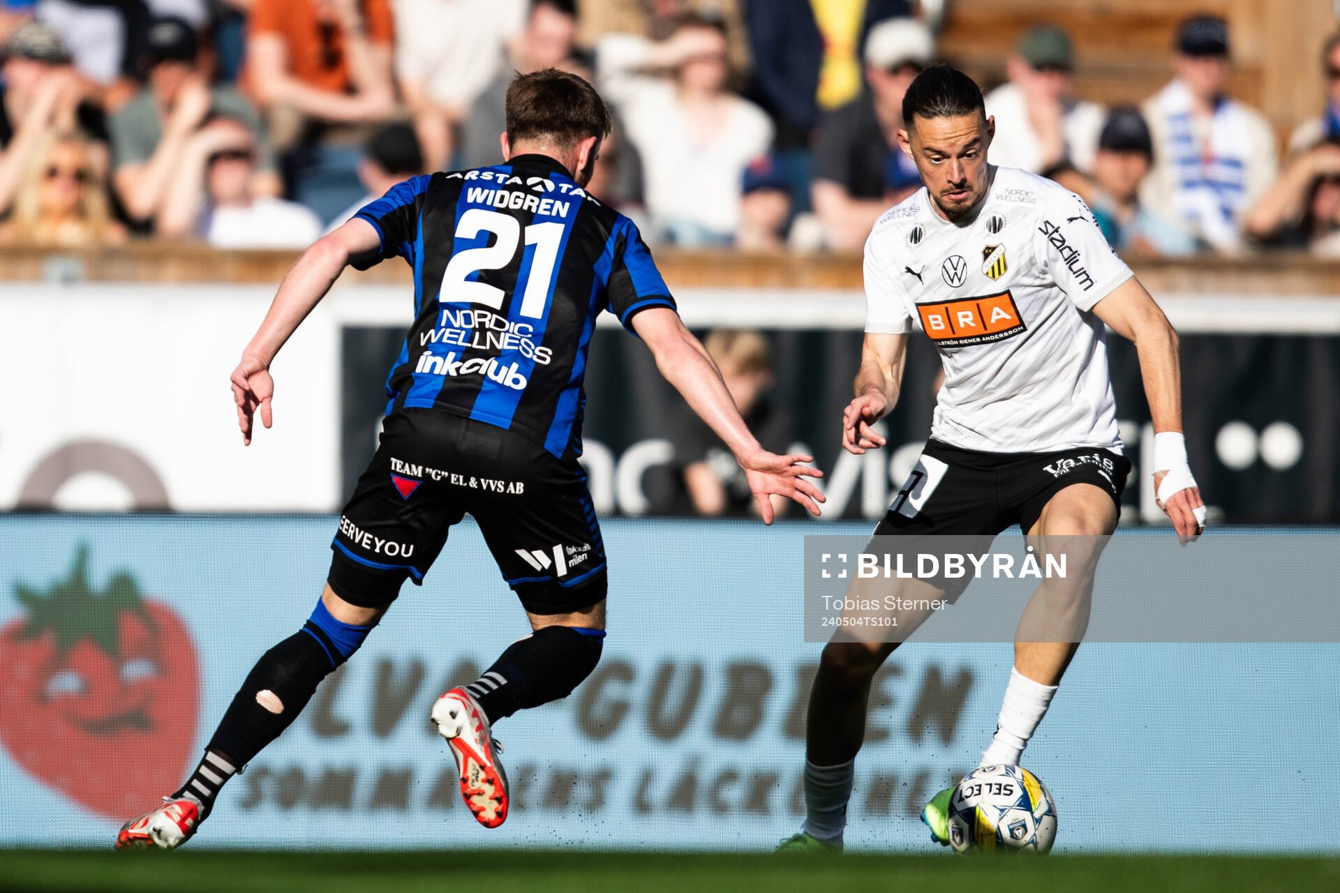 Häckens Amor Layouni