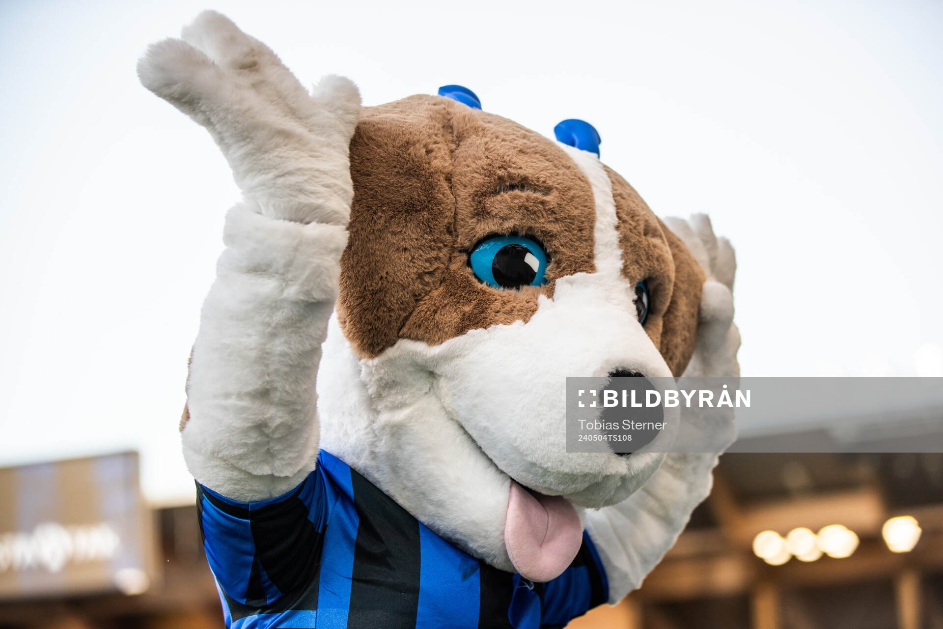 Sirius maskot Spurt