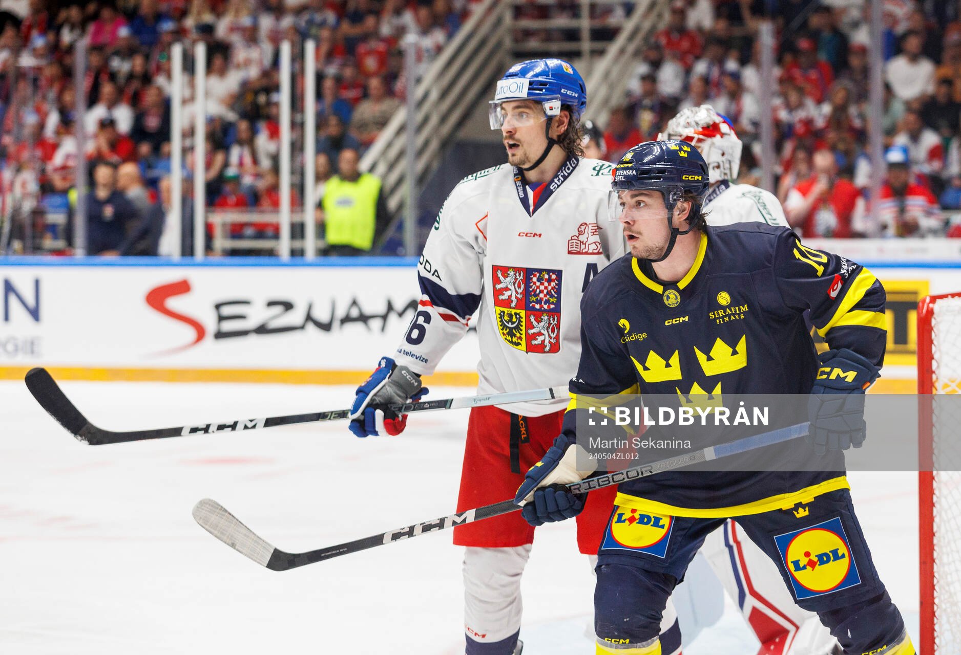 David Tomasek of Czech Republic and Alexander Holtz of