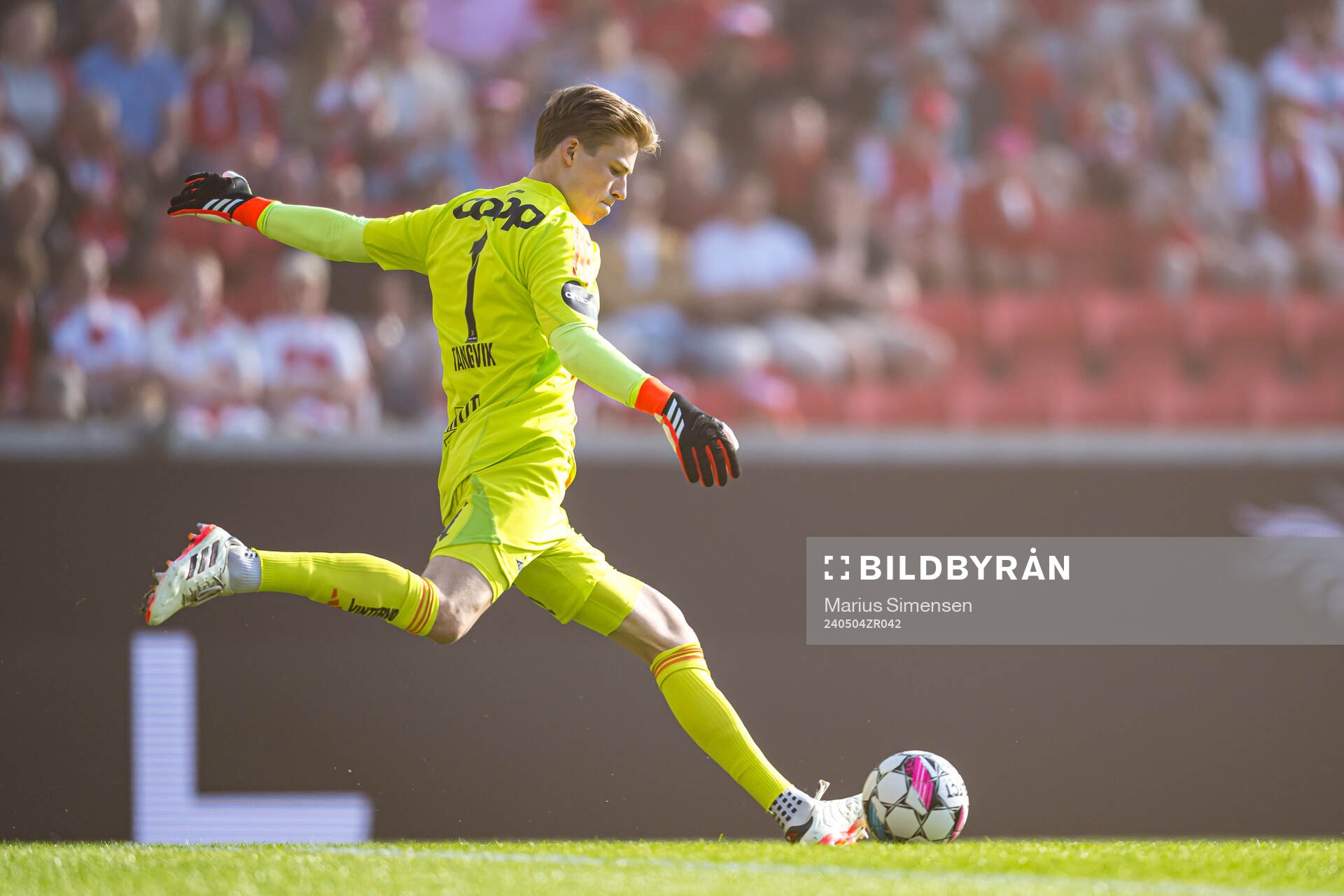 Sander Tangvik of Rosenborg