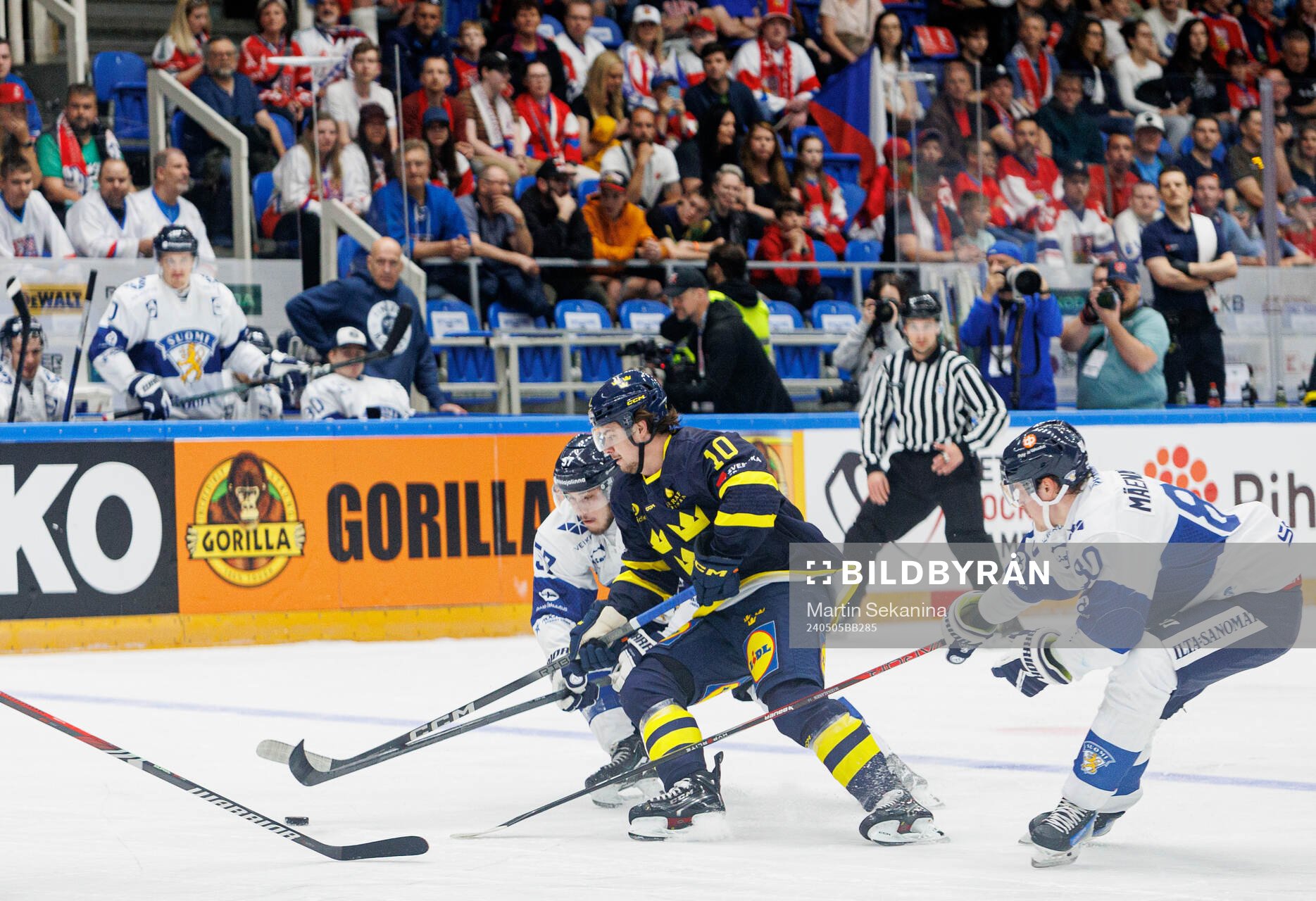 Alexander Holtz of Sweden