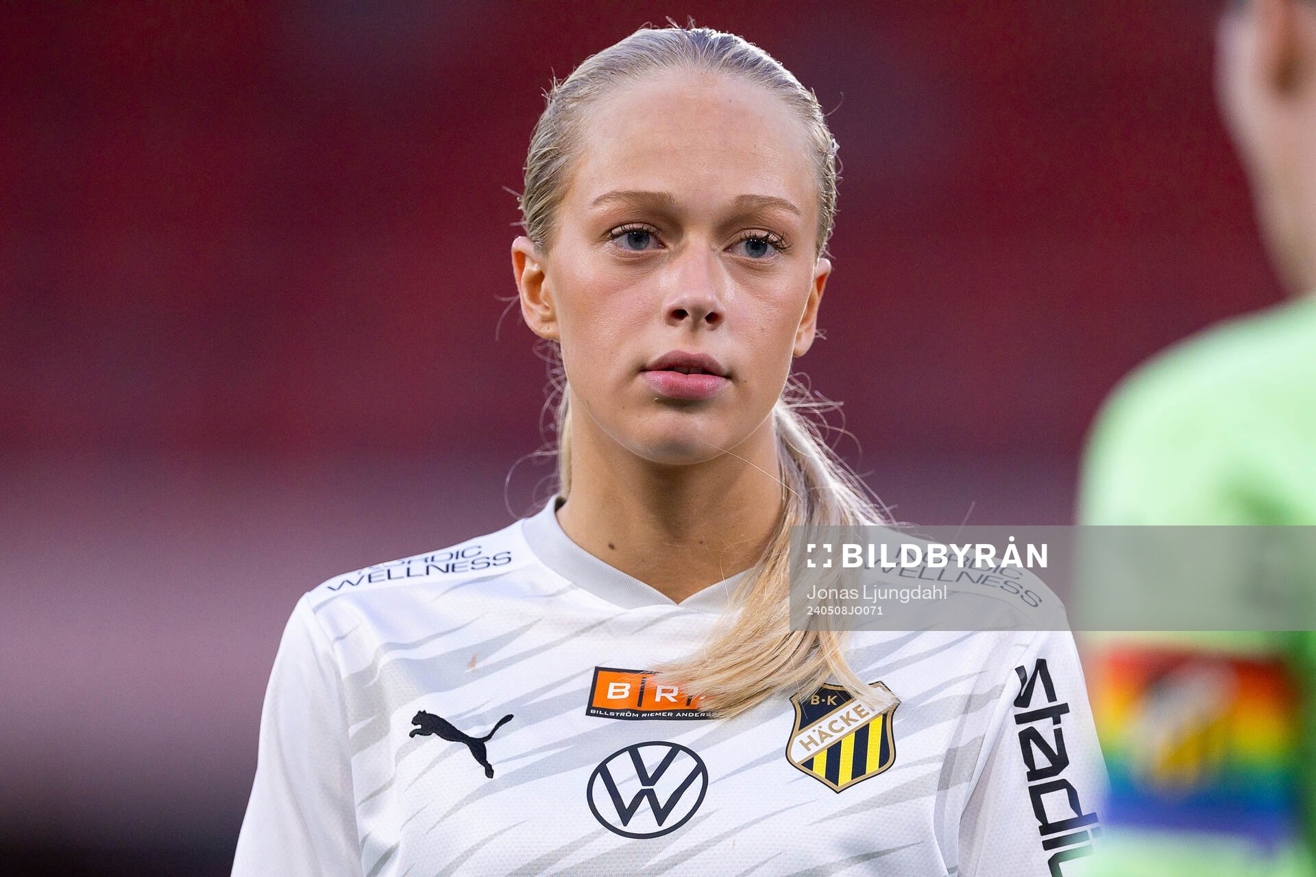 Häckens Lisa Löwing