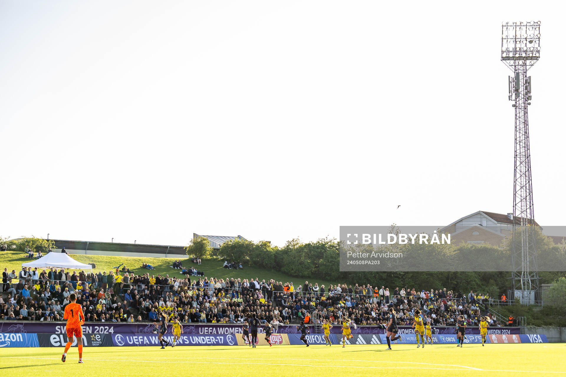Fans in the stands