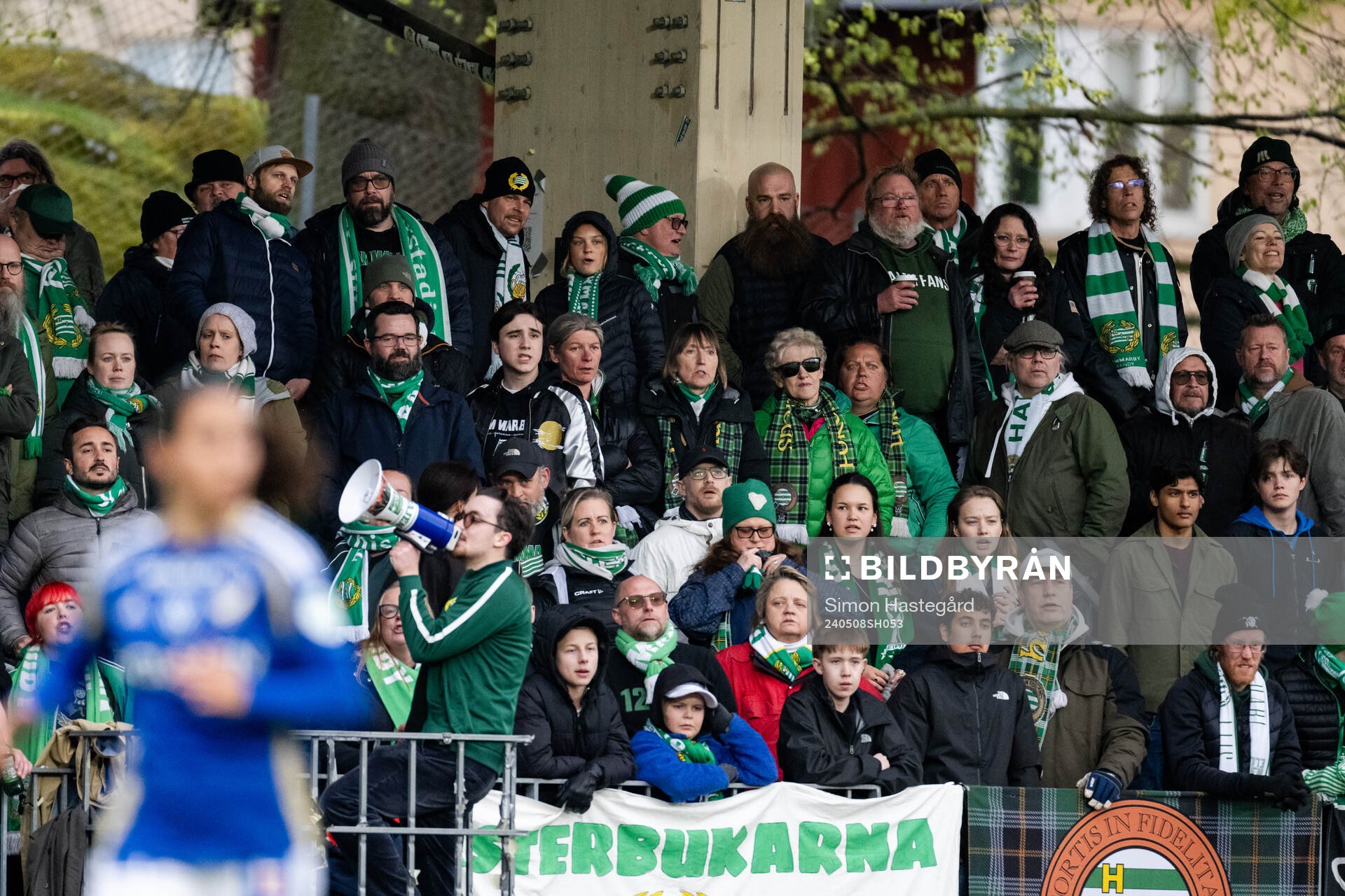 Hammarbys supportrar
