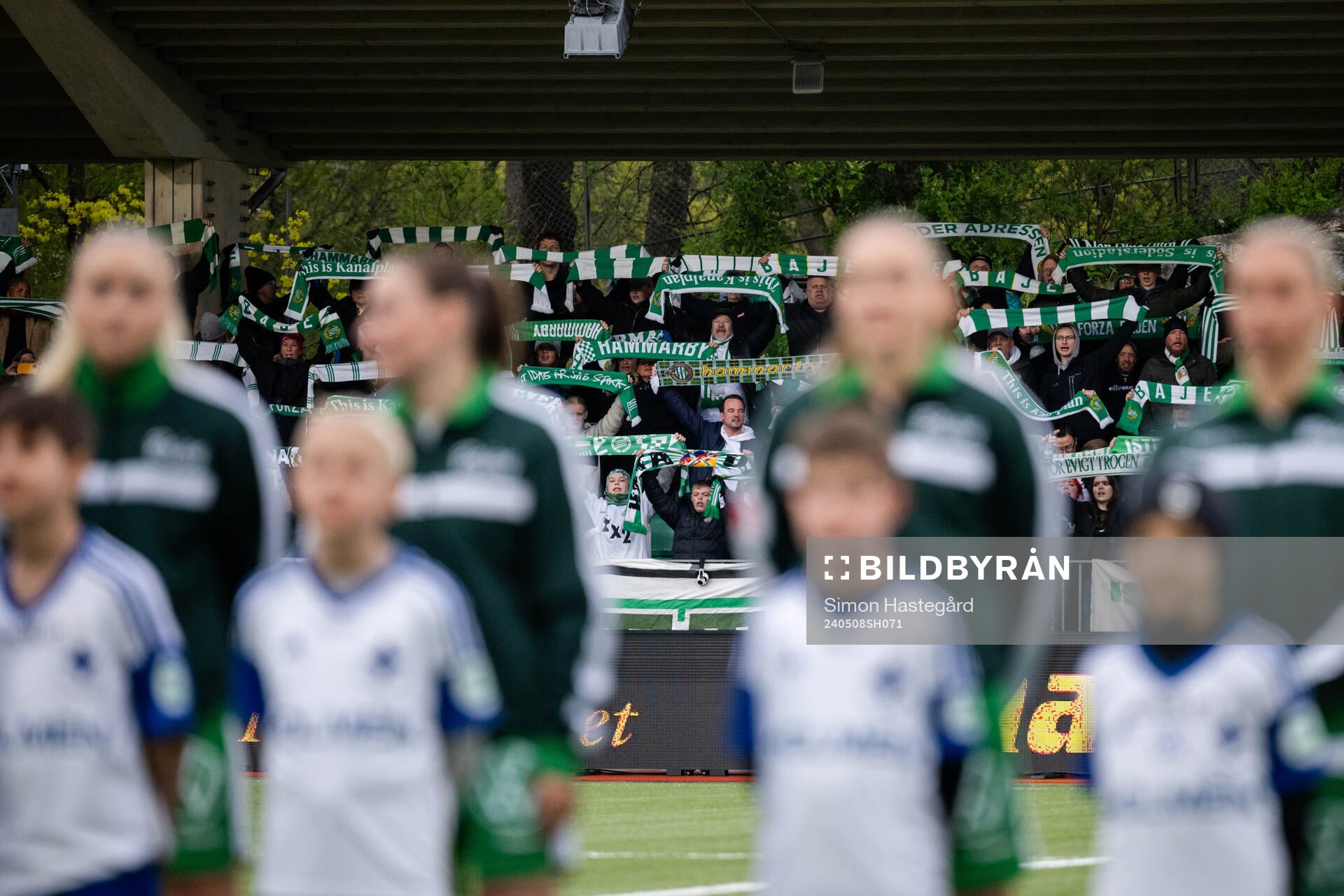 Hammarbys supportrar