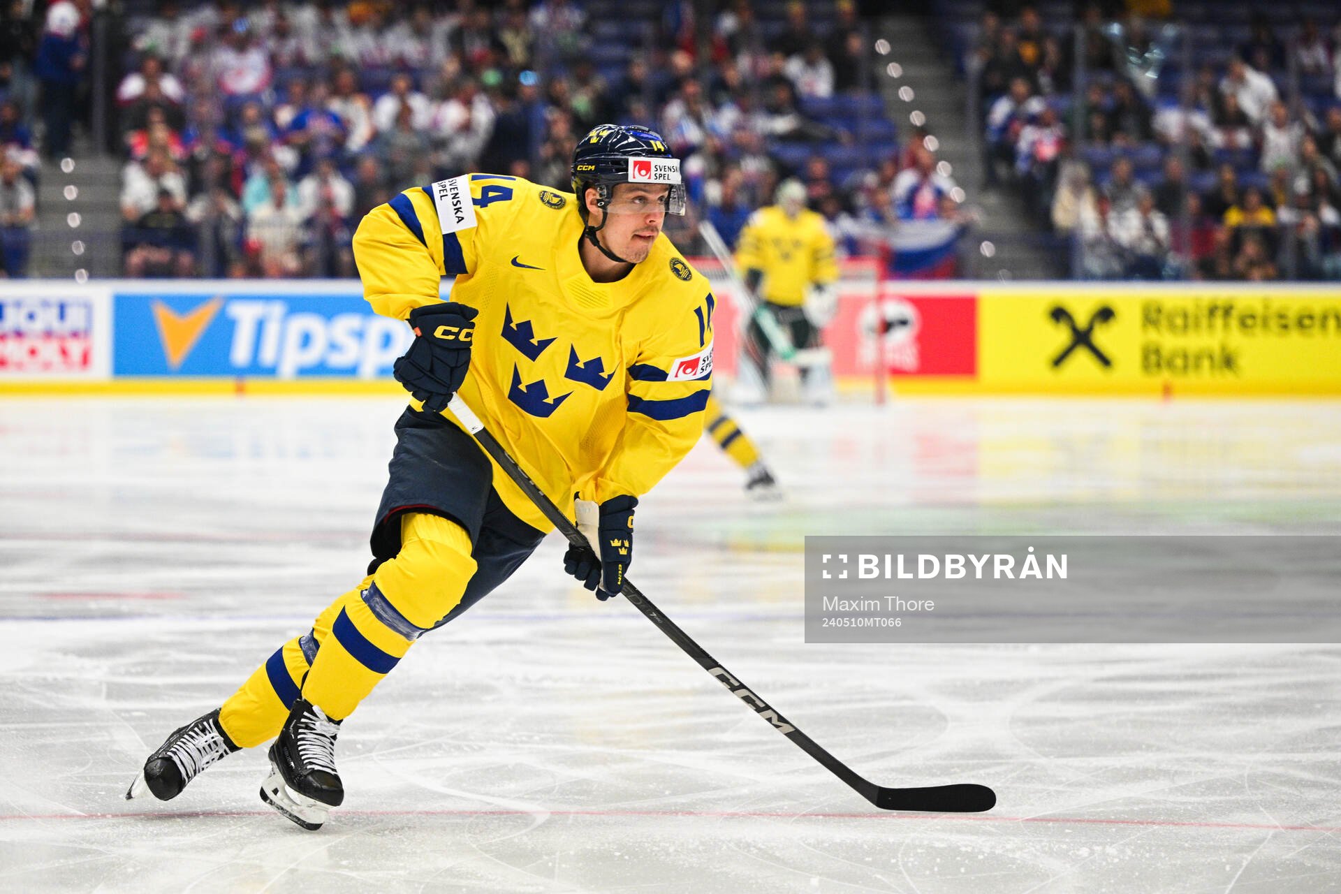 Joel Eriksson Ek of Sweden
