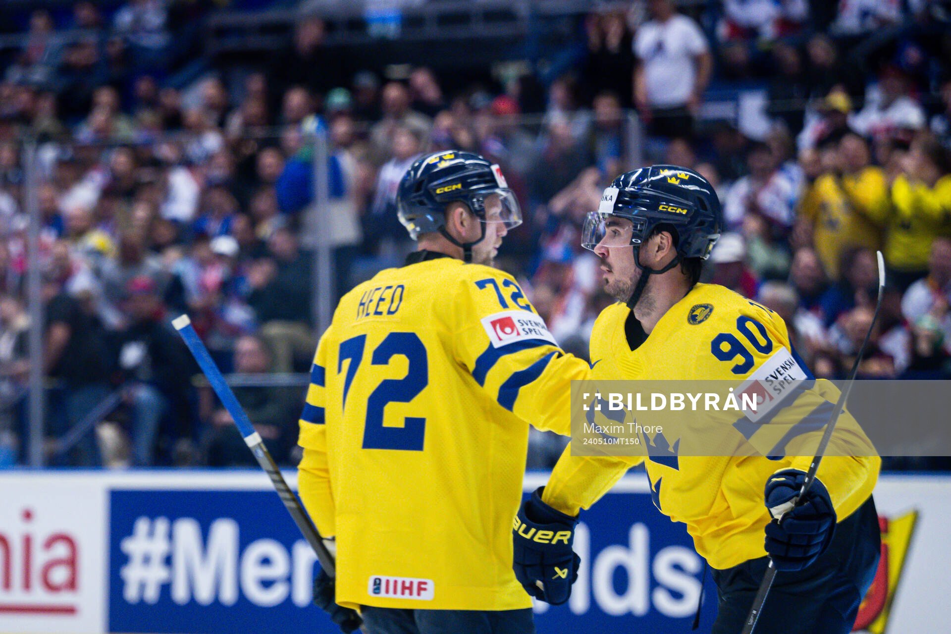Tim Heed and Marcus Johansson of Sweden
