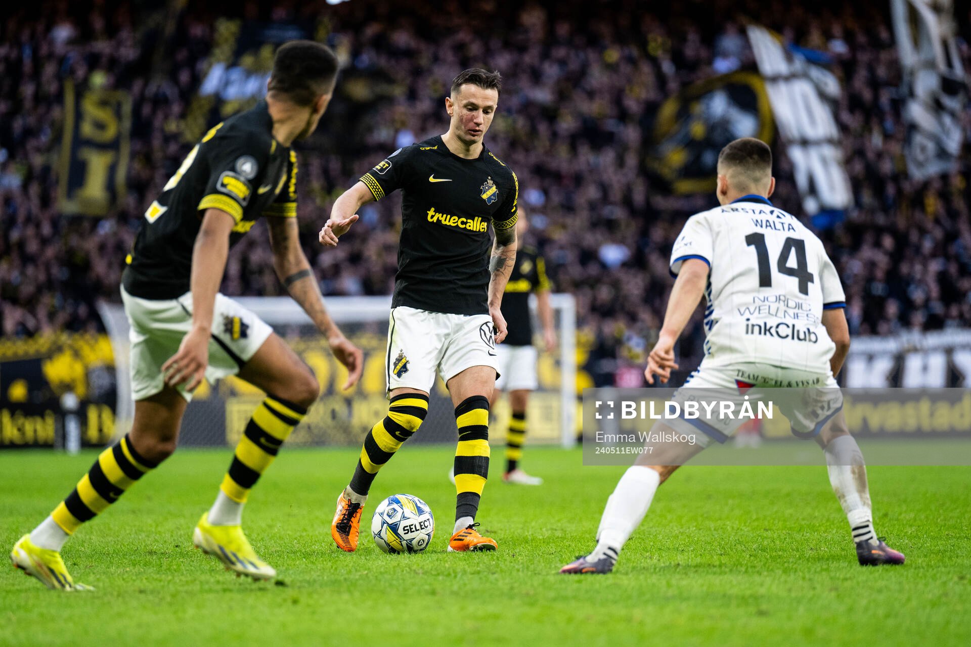 AIKs Bersant Celina