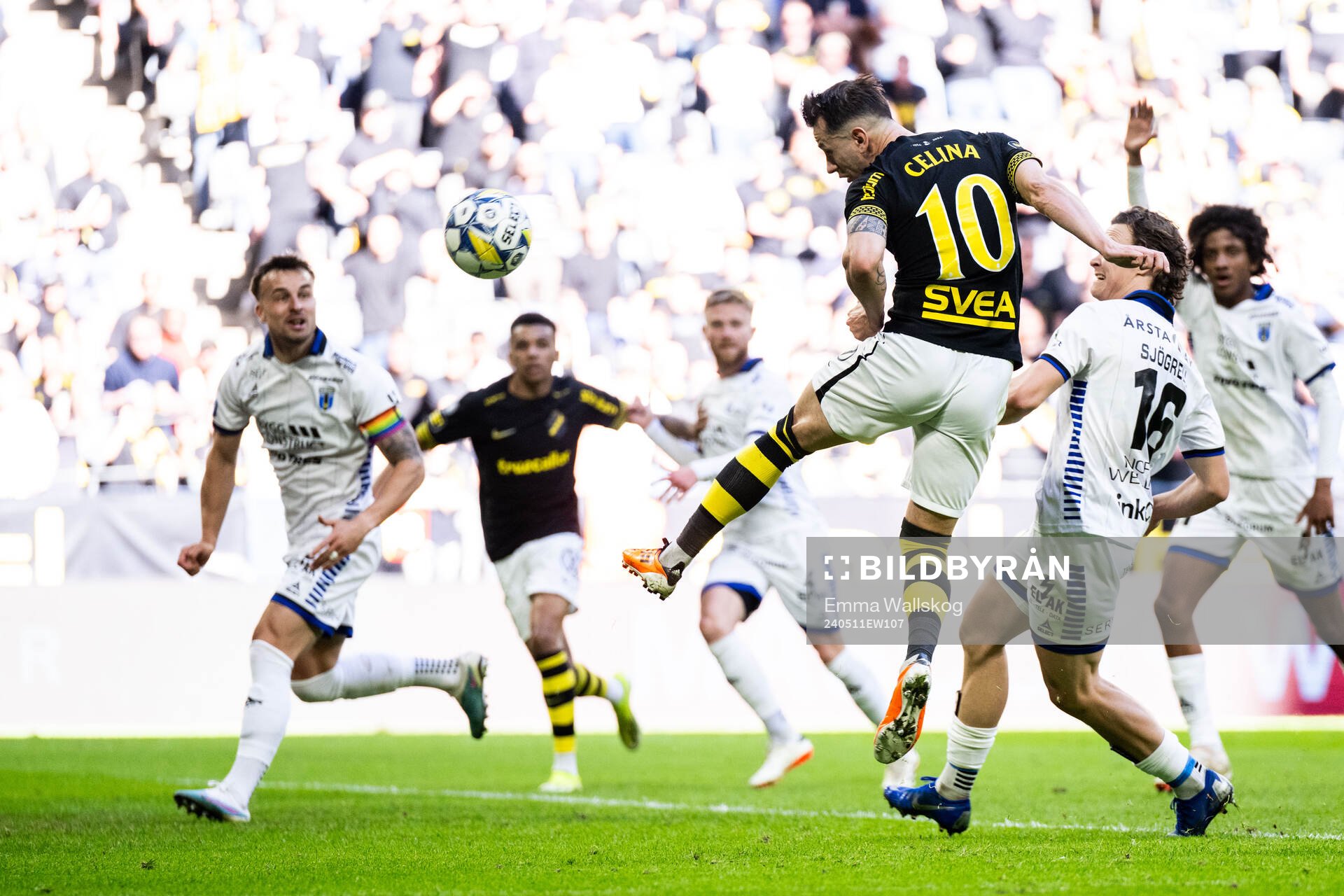 AIKs Bersant Celina