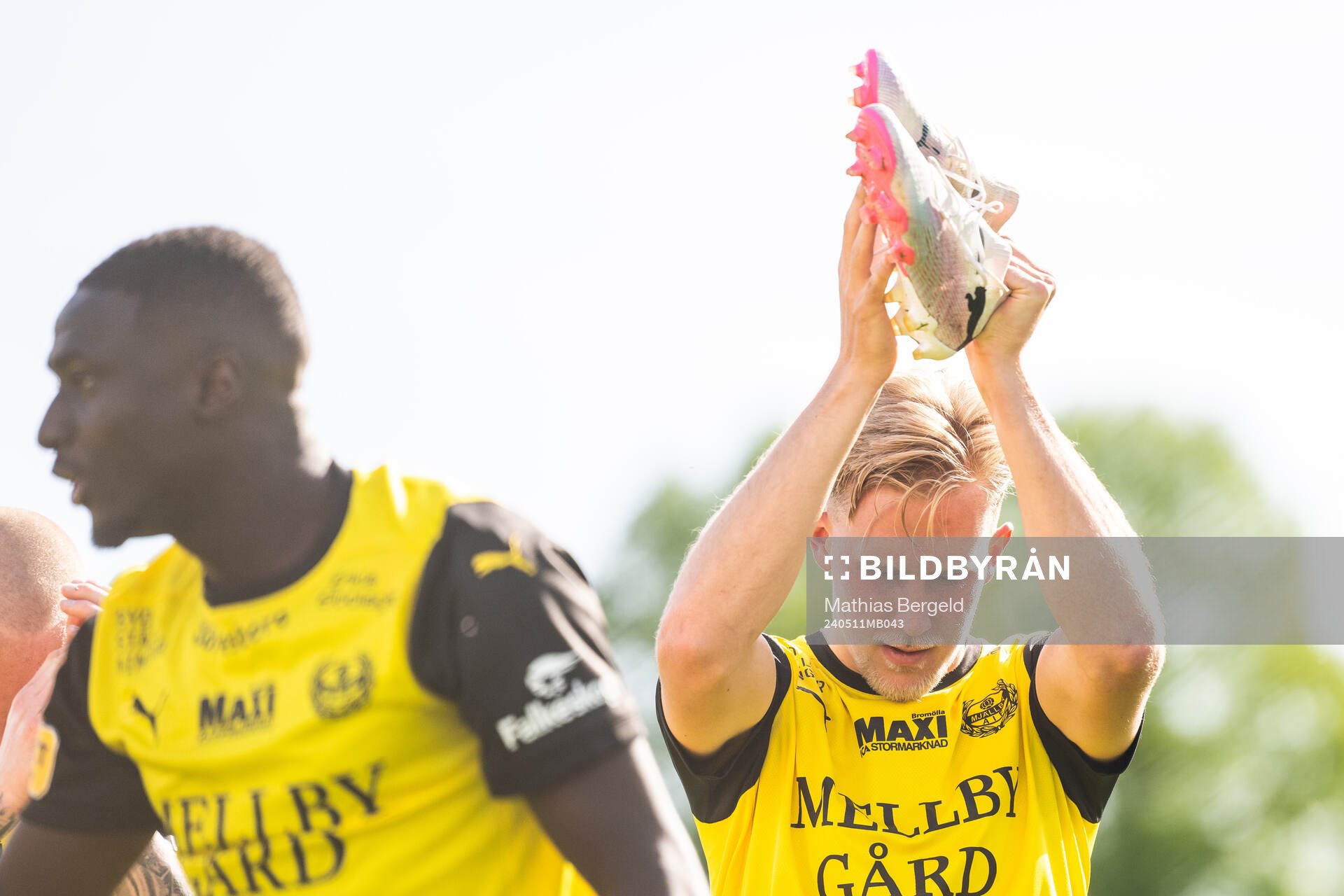 Mjällbys Herman Johansson jublar efter fotbollsmatchen i Allsvenskan mellan Halmstad och Mjällby den 11 maj 2024 i Halmstad. 