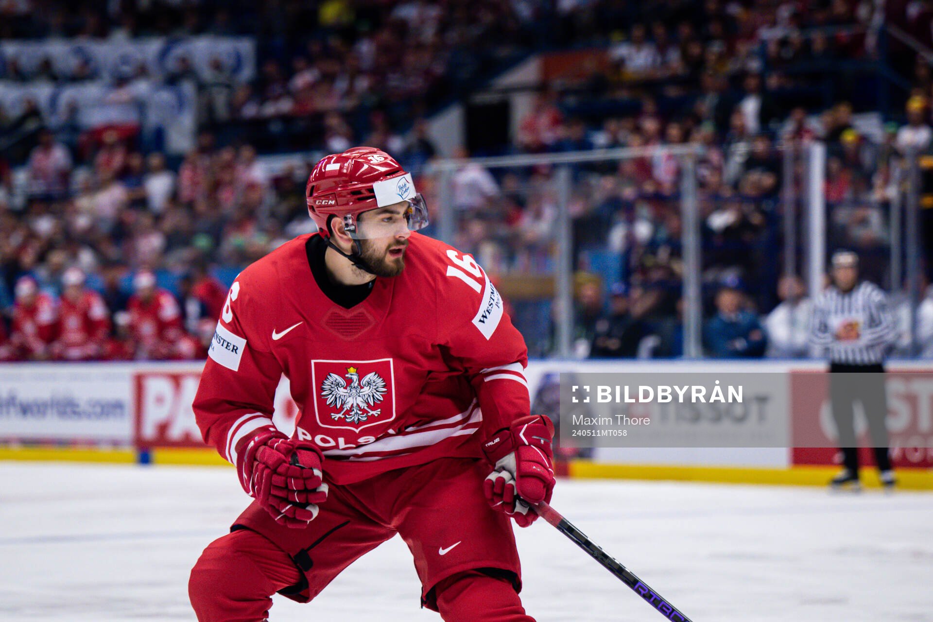 Pawel Zygmunt of Poland