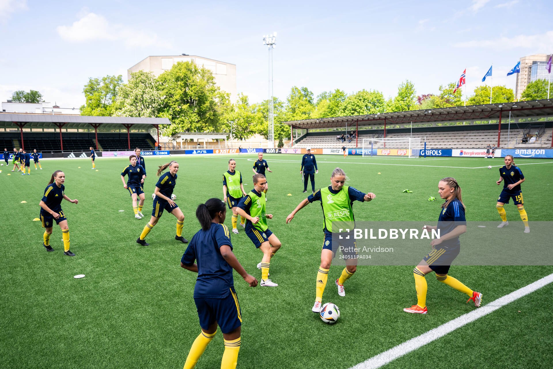 Players of Sweden