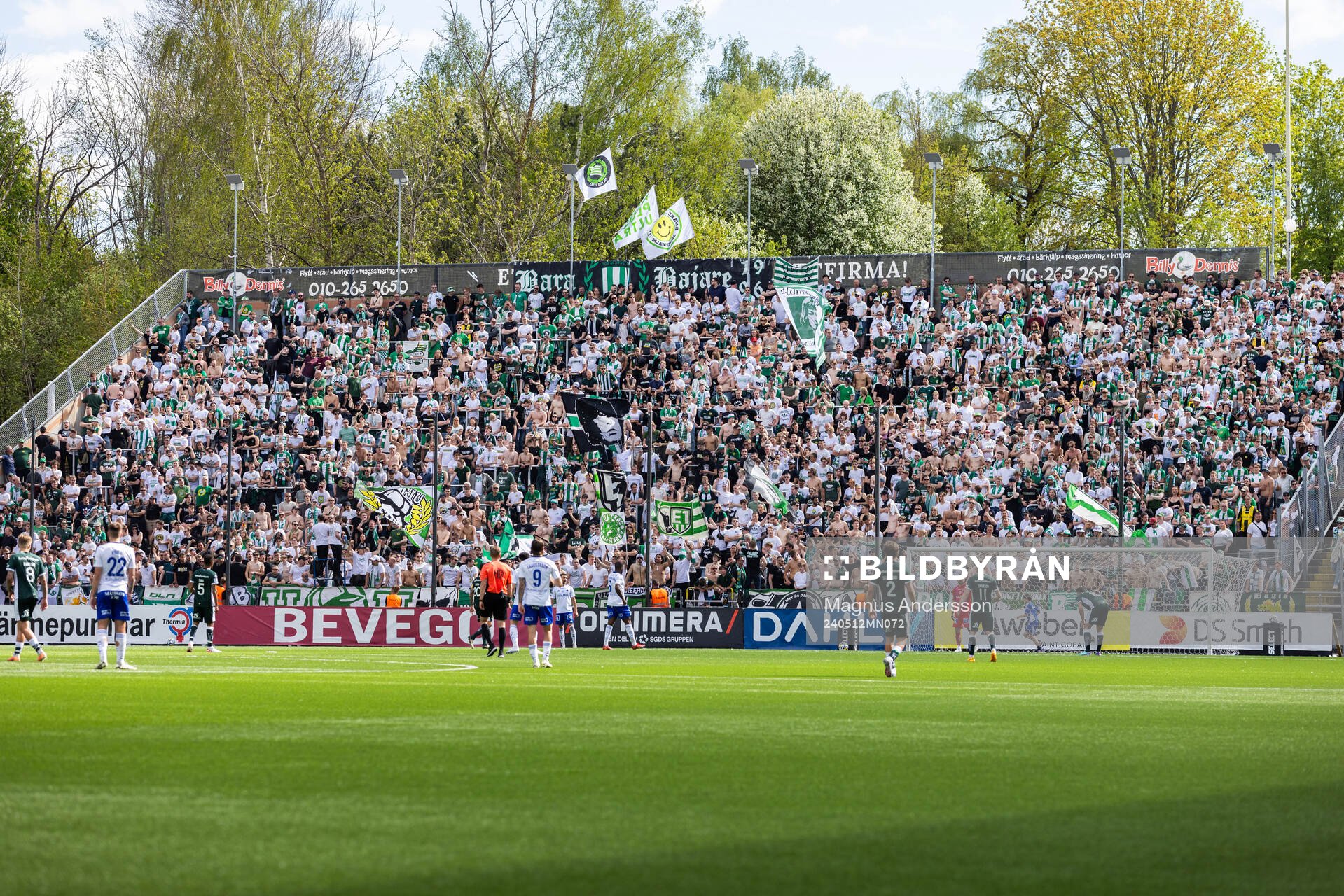Hammarbys supportrar