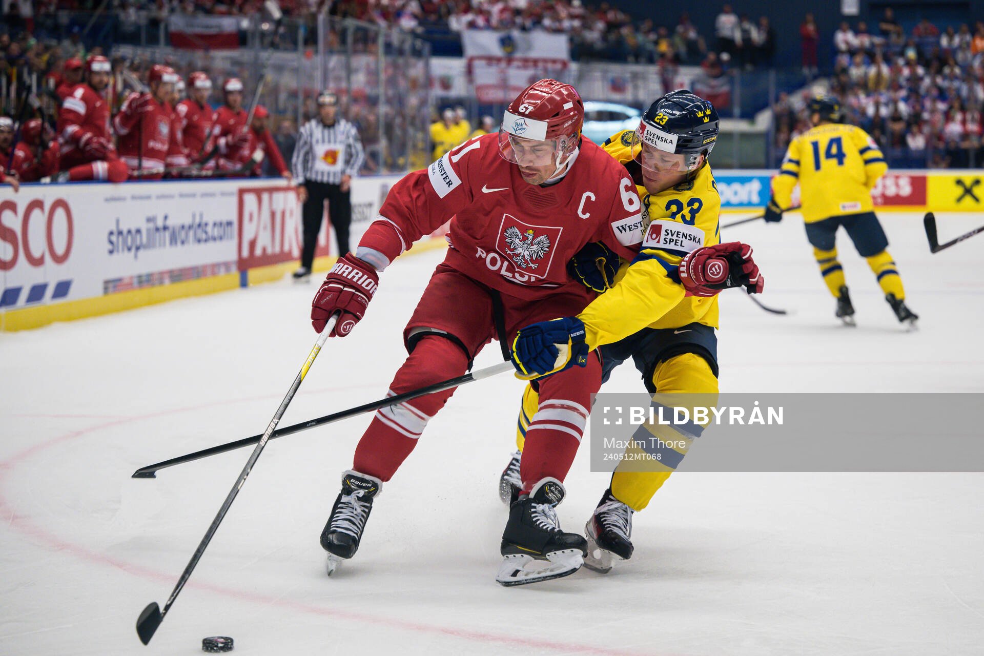 Krystian Dziubinski of Poland and Lucas Raymond of Sweden