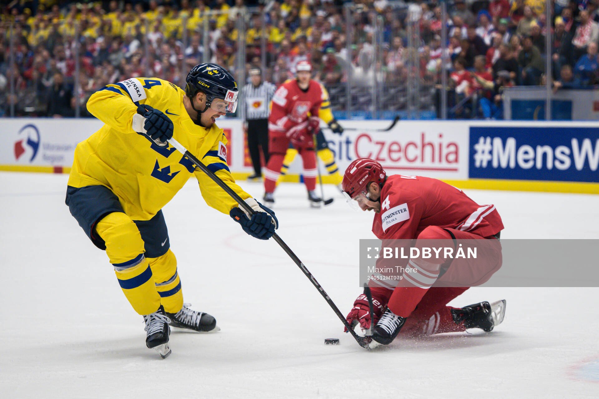 Joel Eriksson Ek of Sweden and Patryk Wajda of Poland