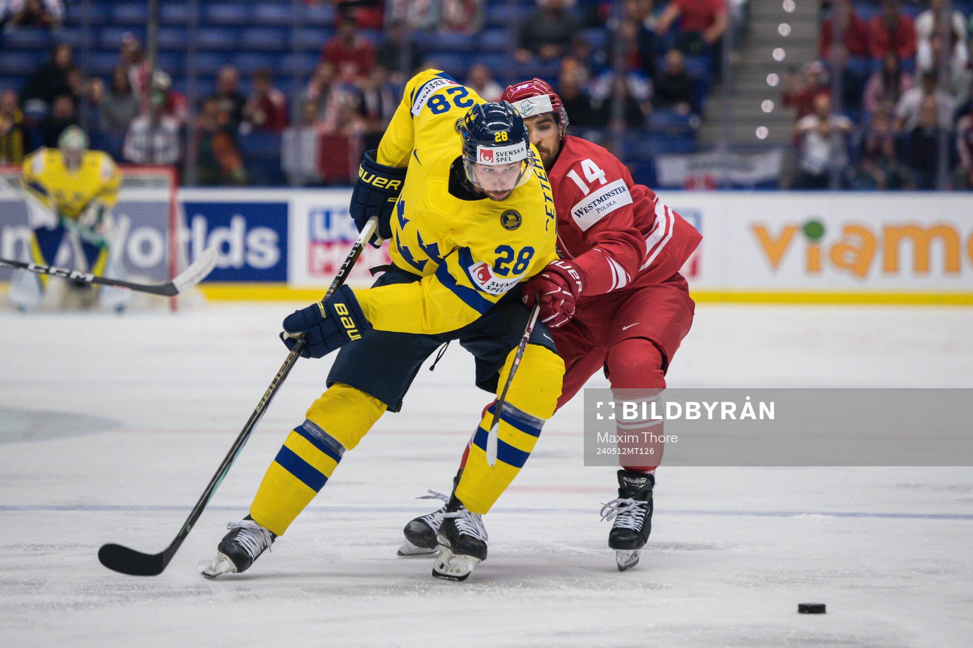 Marcus Pettersson of Sweden and Dominik Pas of Poland